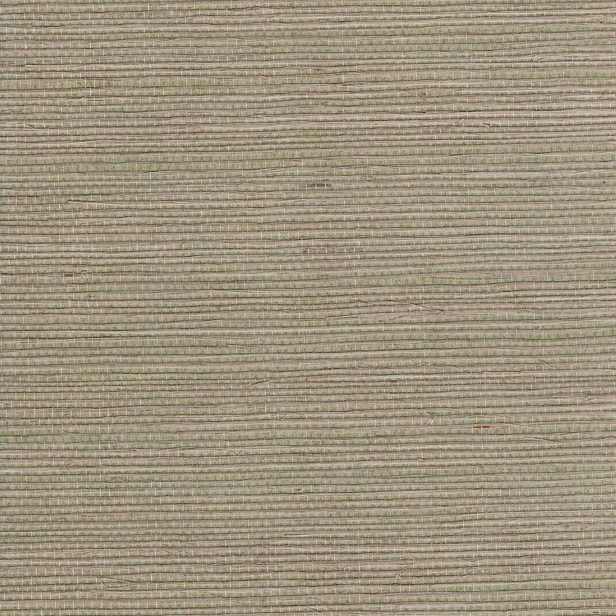 Darcy Sisal Grasscloth Wallpaper