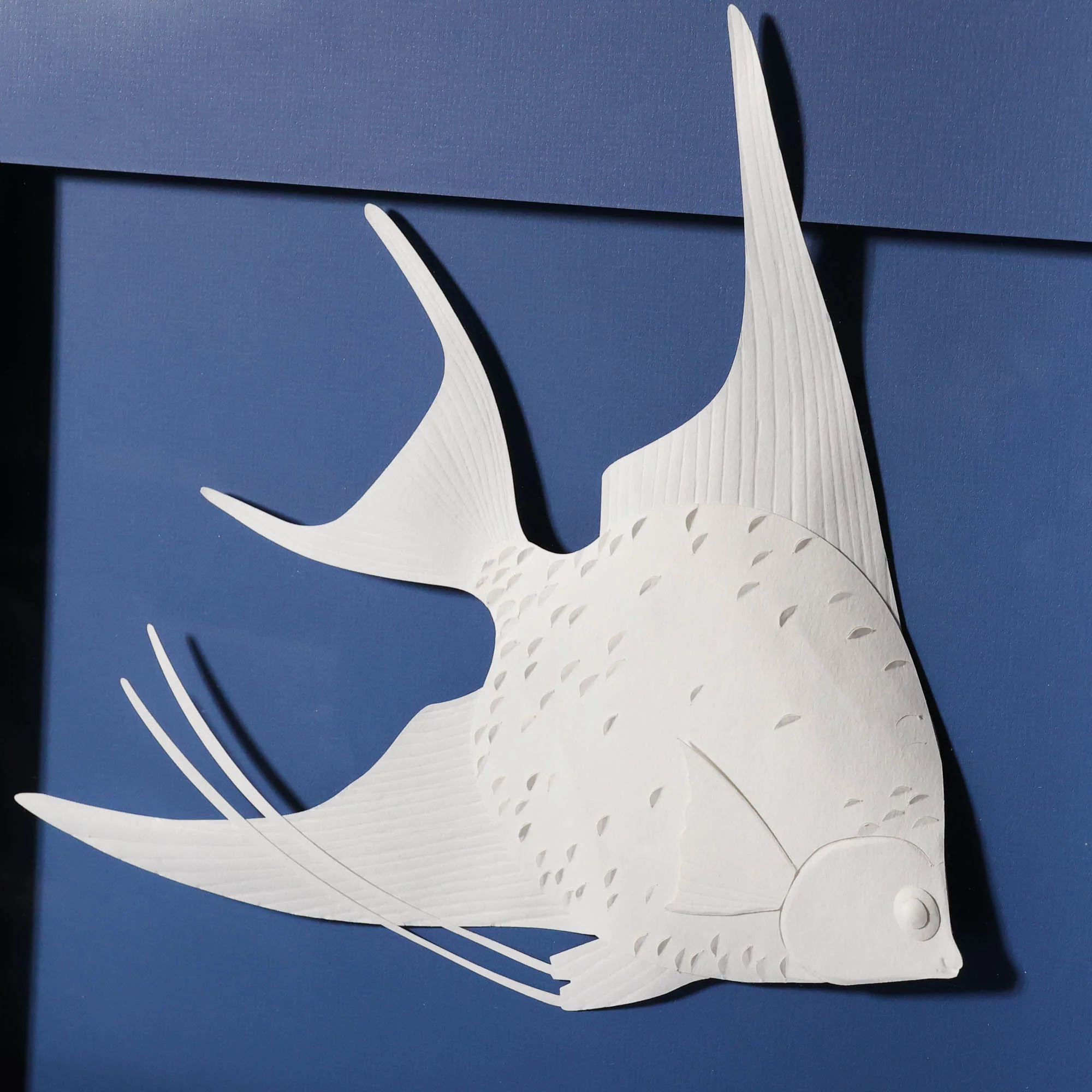 Angelfish Swimming - Image 2