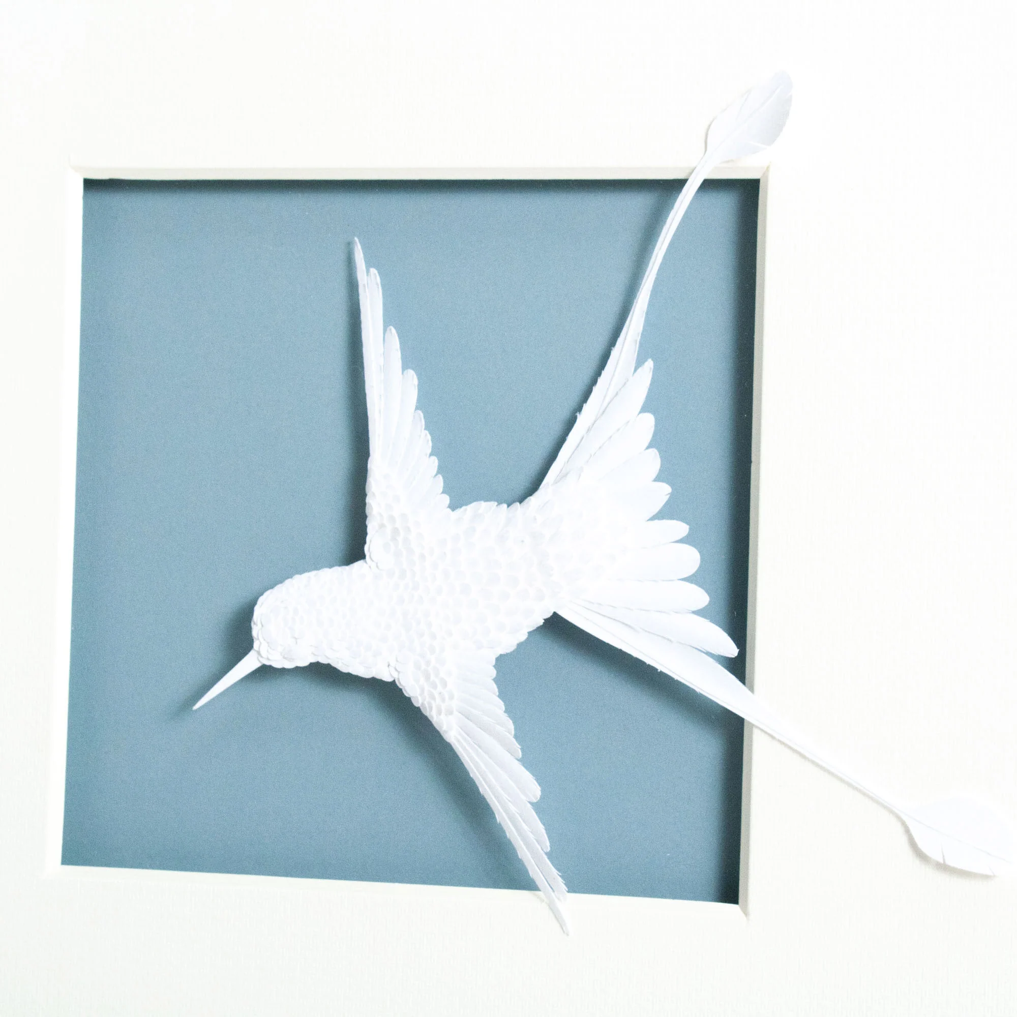 Aviary Framed Art - Finsch - Image 3
