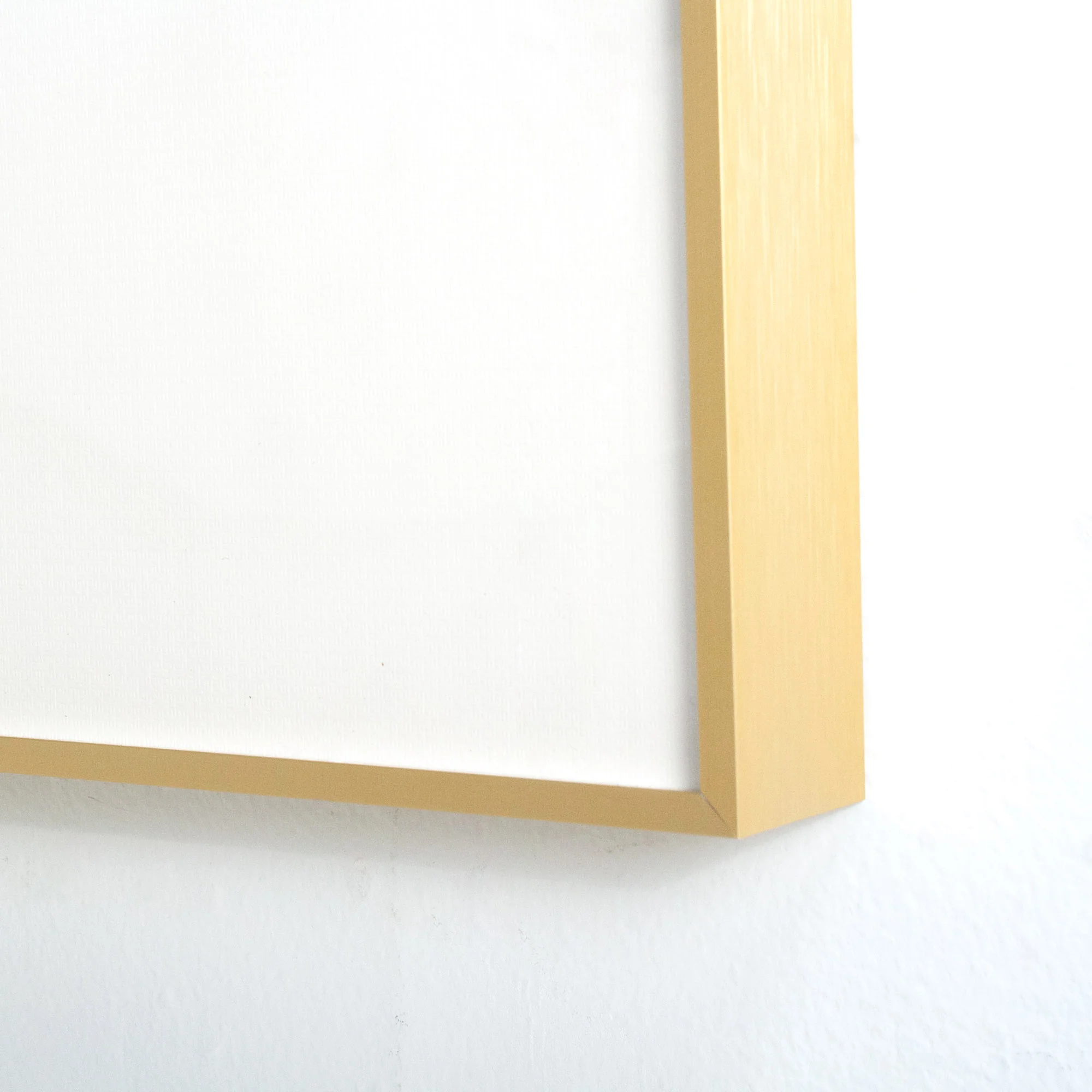 Aviary Framed Art - Finsch - Image 4