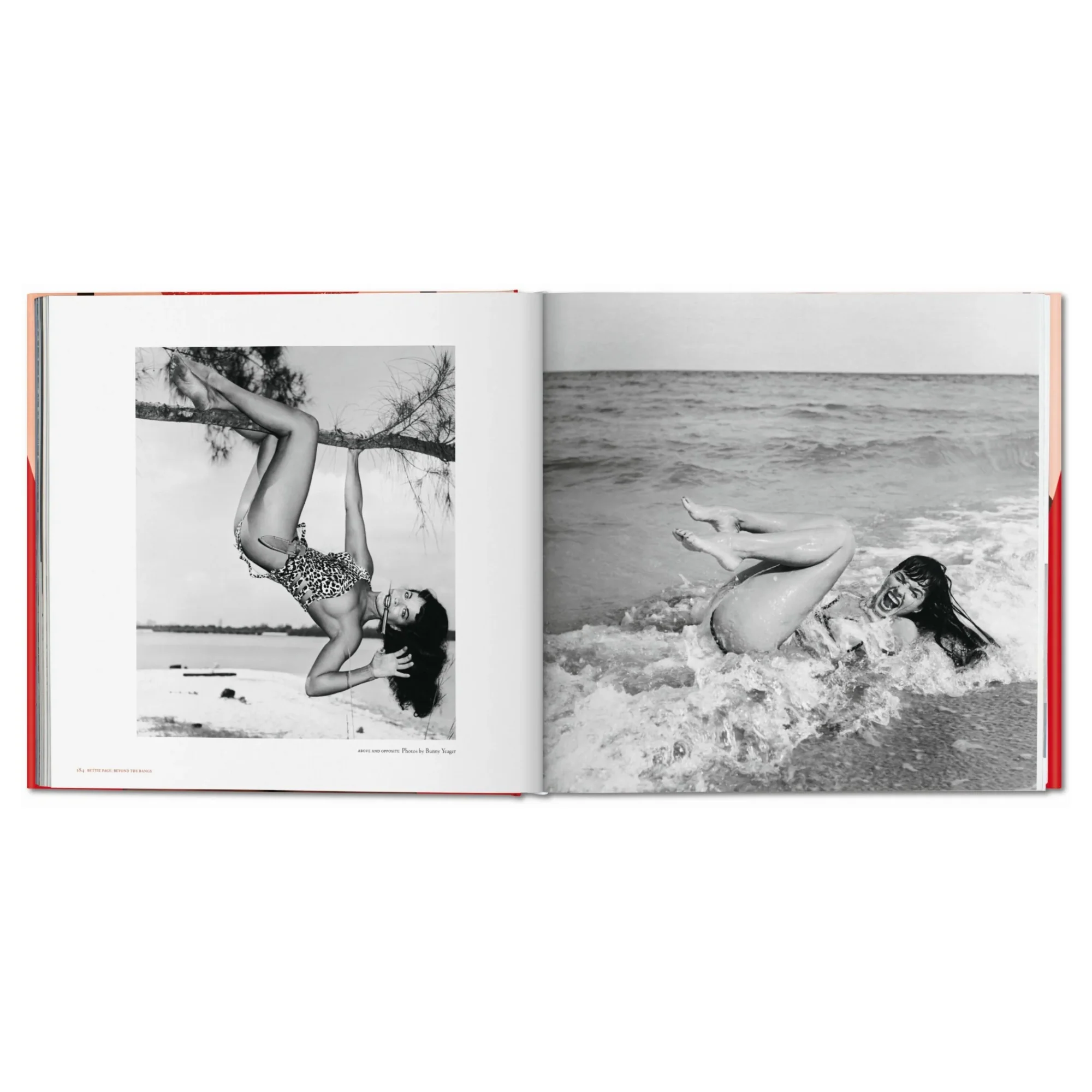 Big Book of Legs - Image 3