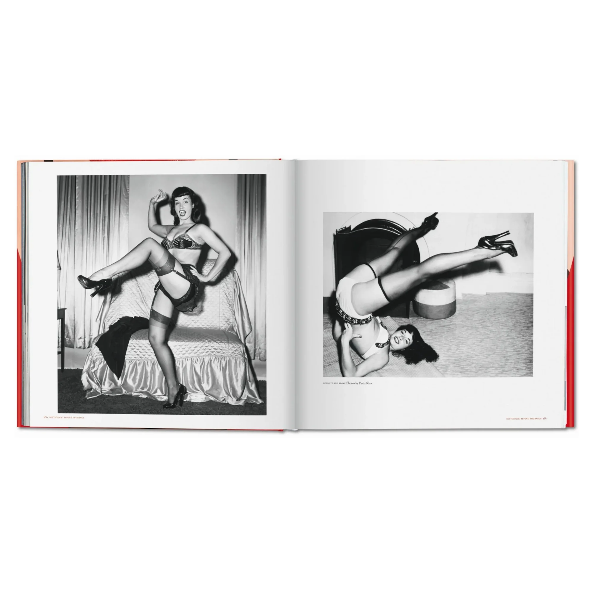 Big Book of Legs - Image 4