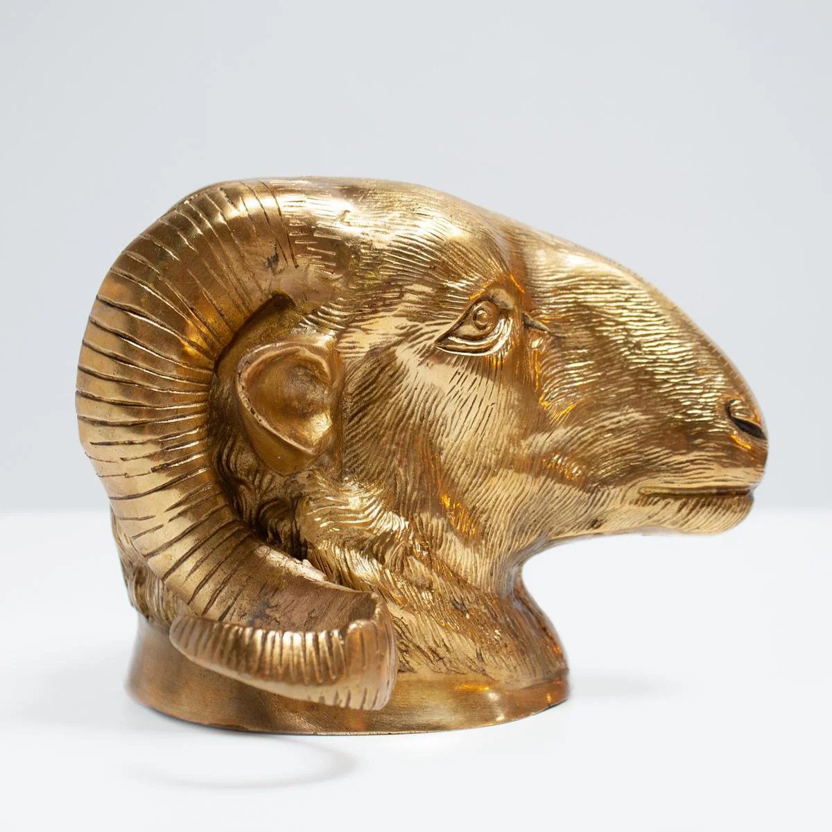 Brass Rams Head - Image 3