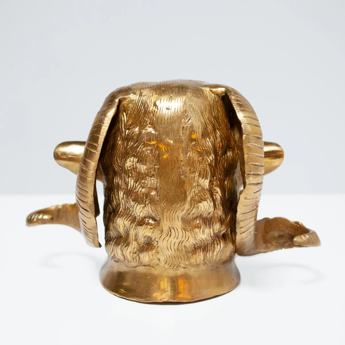 Brass Rams Head - Image 4