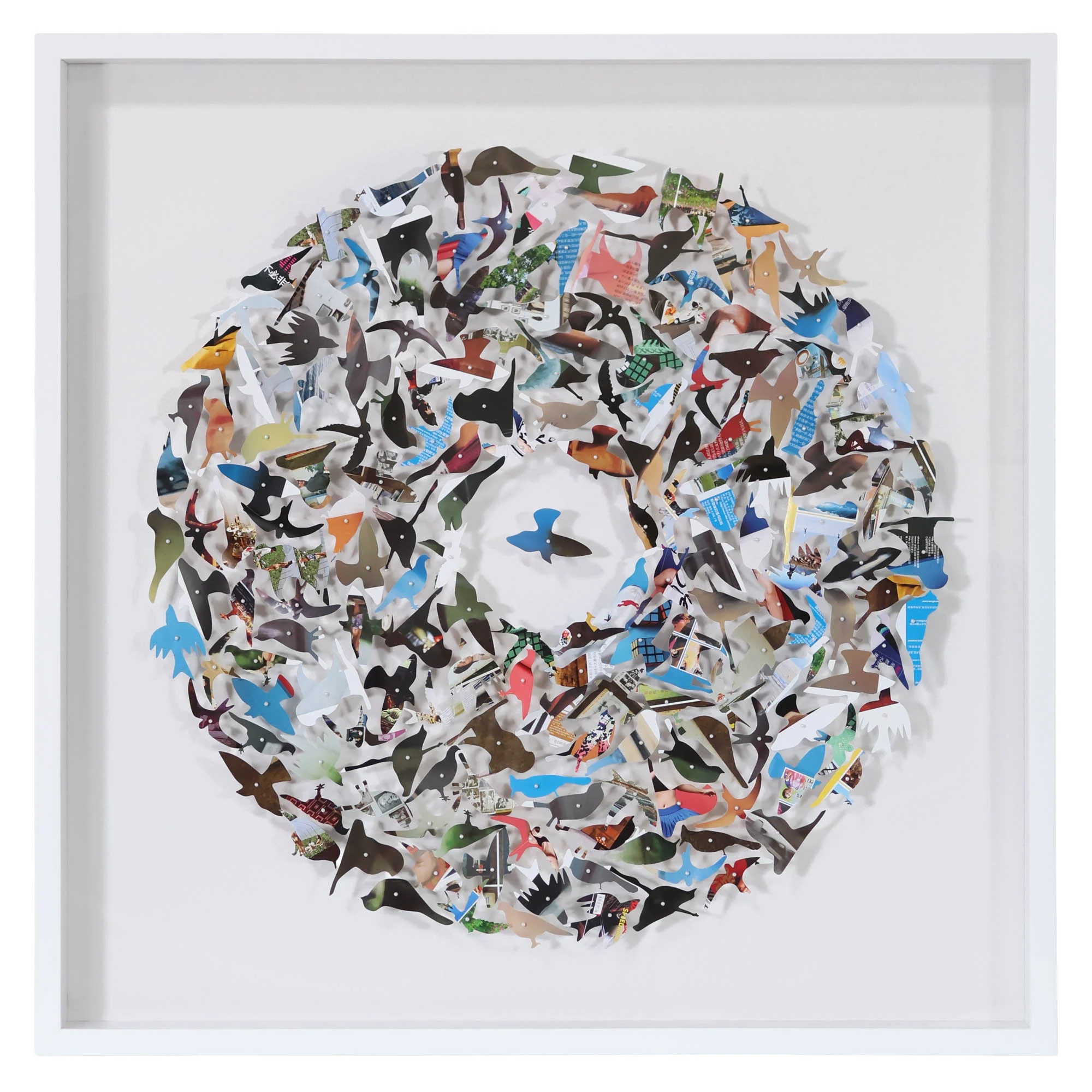 Brilliant Birds Multicolor