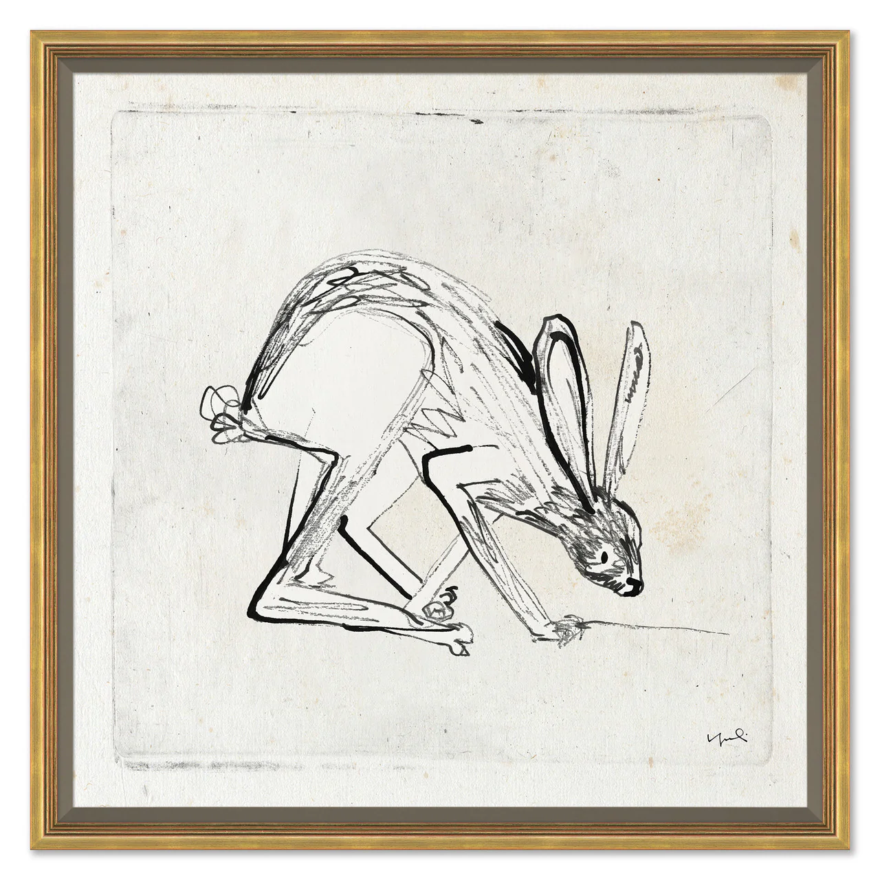 Bunny in Motion Series - Set