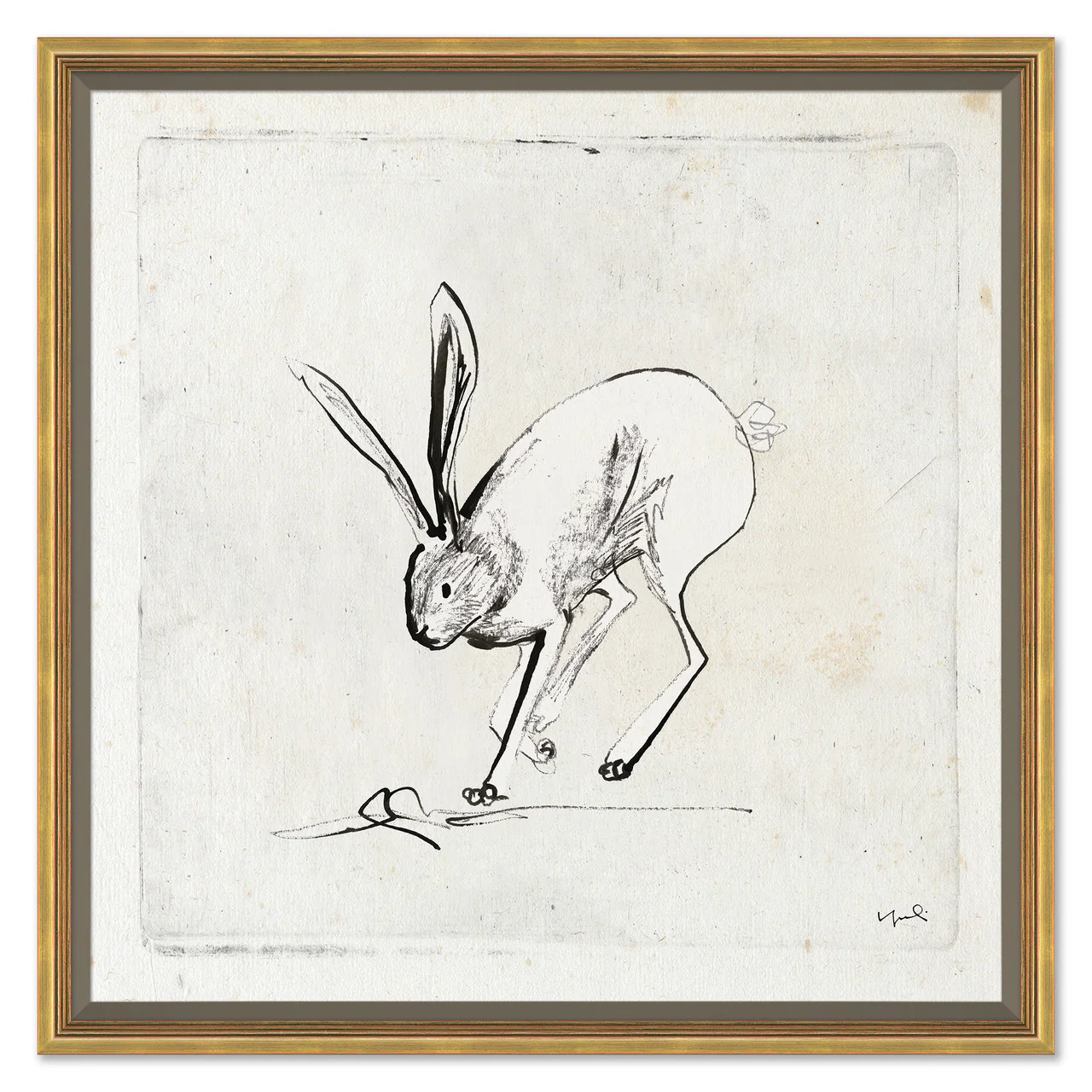 Bunny in Motion Series - Slowing