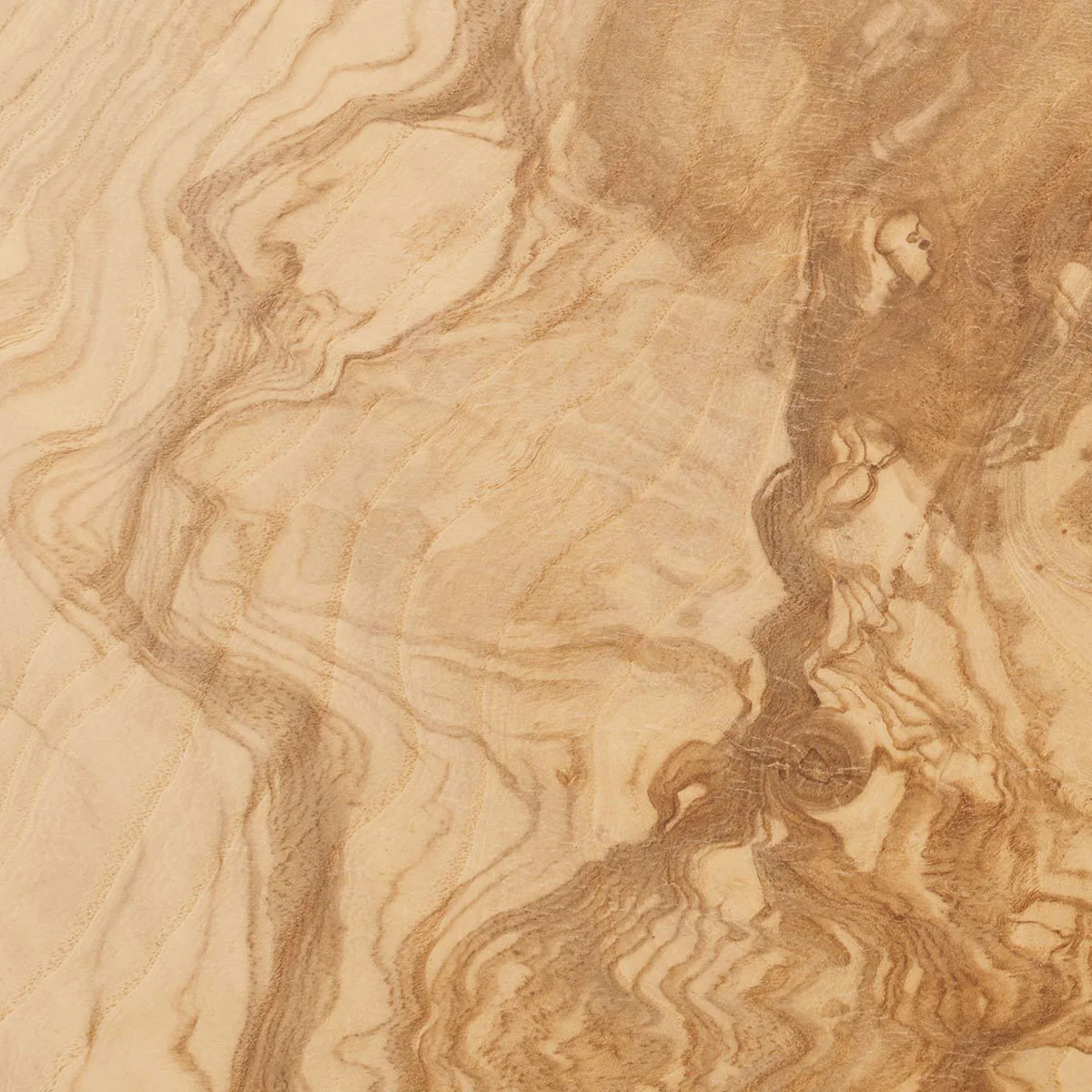 Burl Sample - Image 11