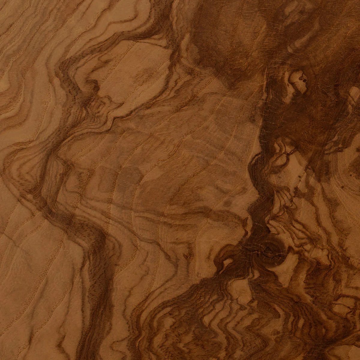 Burl Sample - Image 19