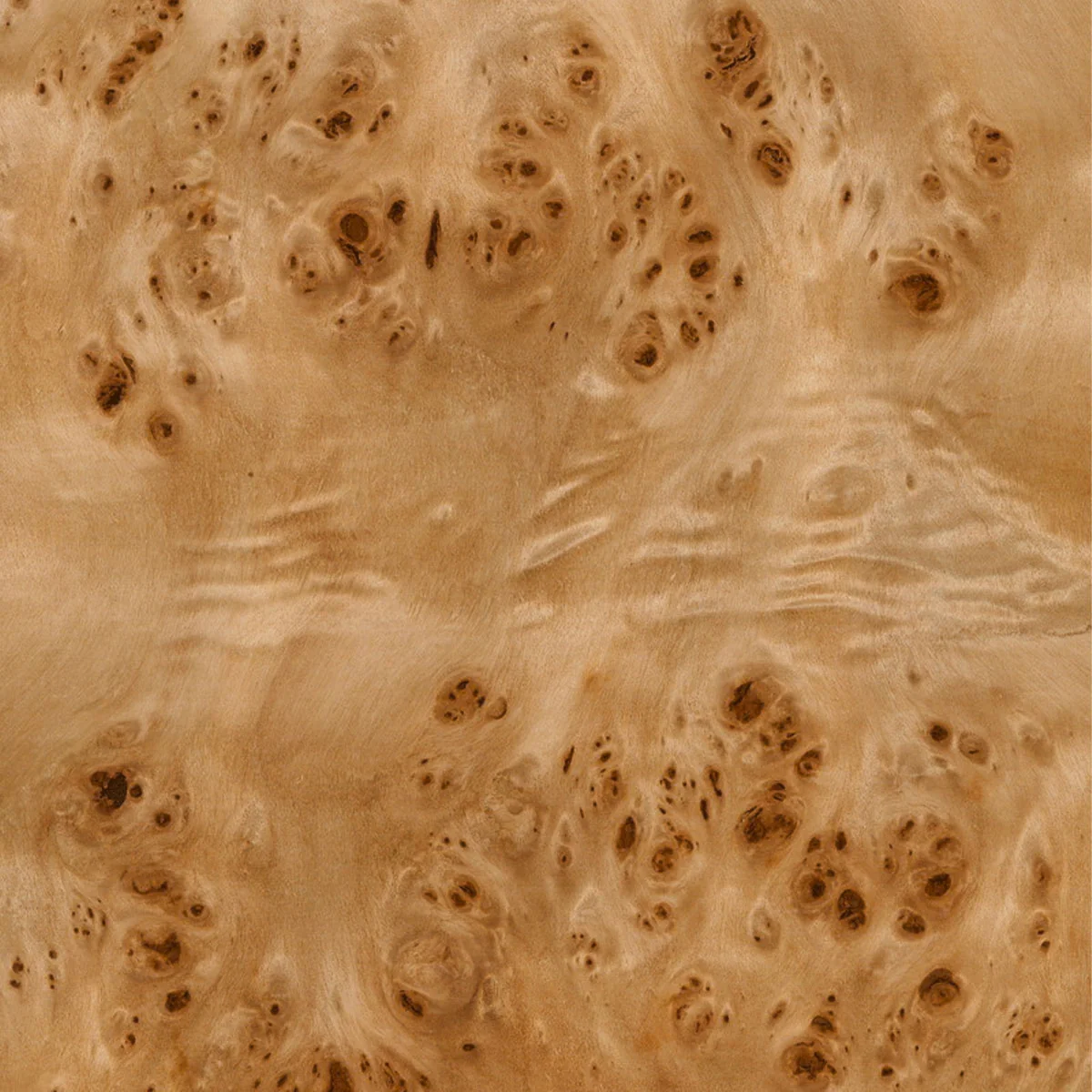 Burl Sample - Image 4