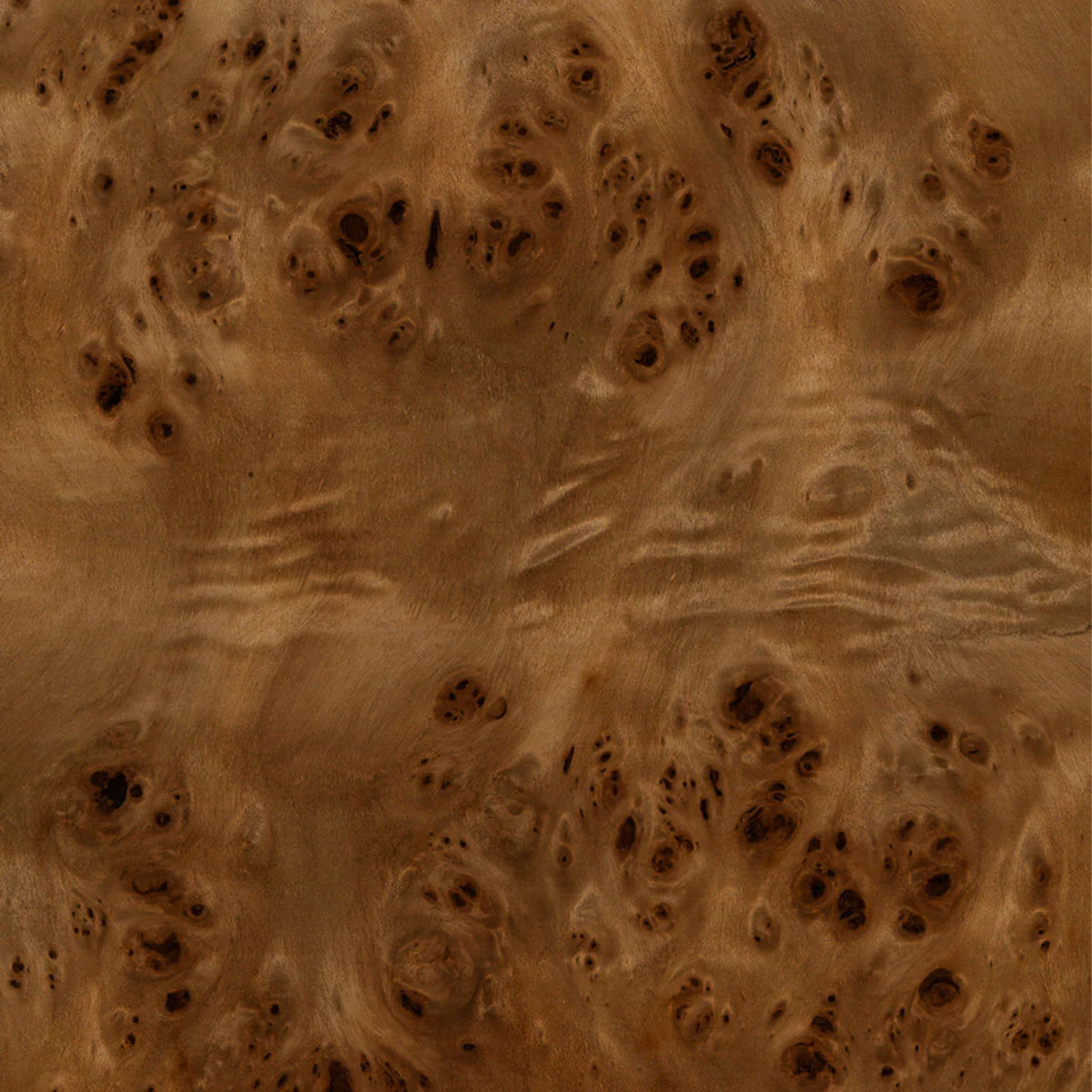 Burl Sample - Image 8