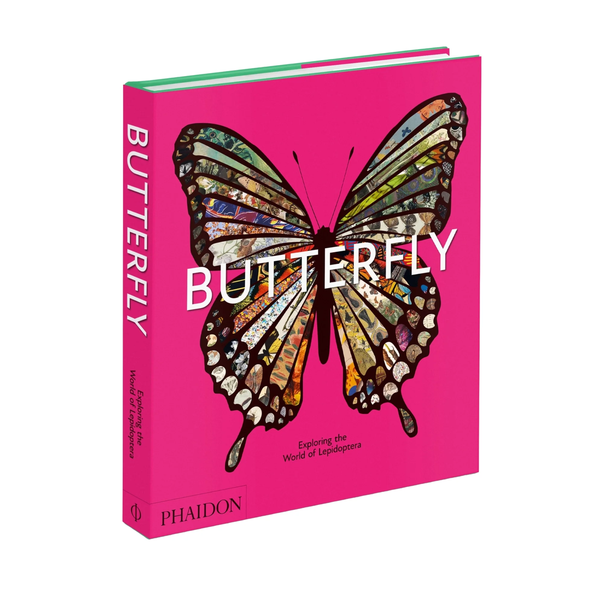 Butterfly: Exploring the World of Lepidoptera