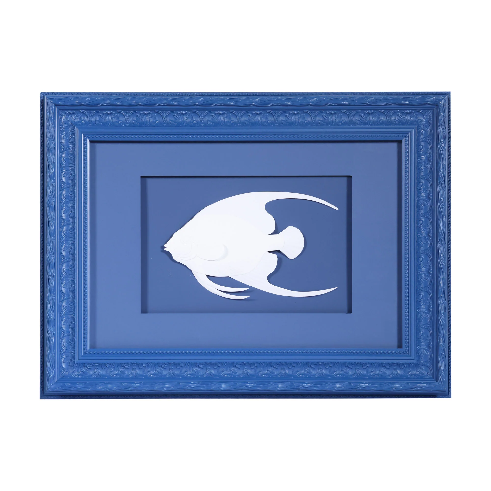 Butterfly Fish Swimming