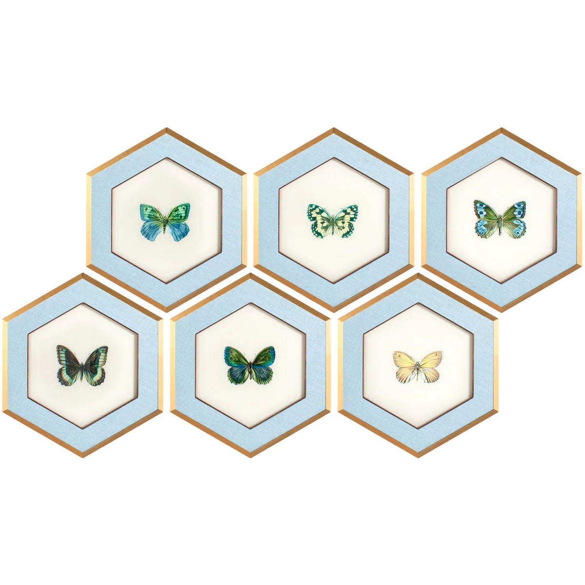 Butterfly Hexagon Art - Set of 6