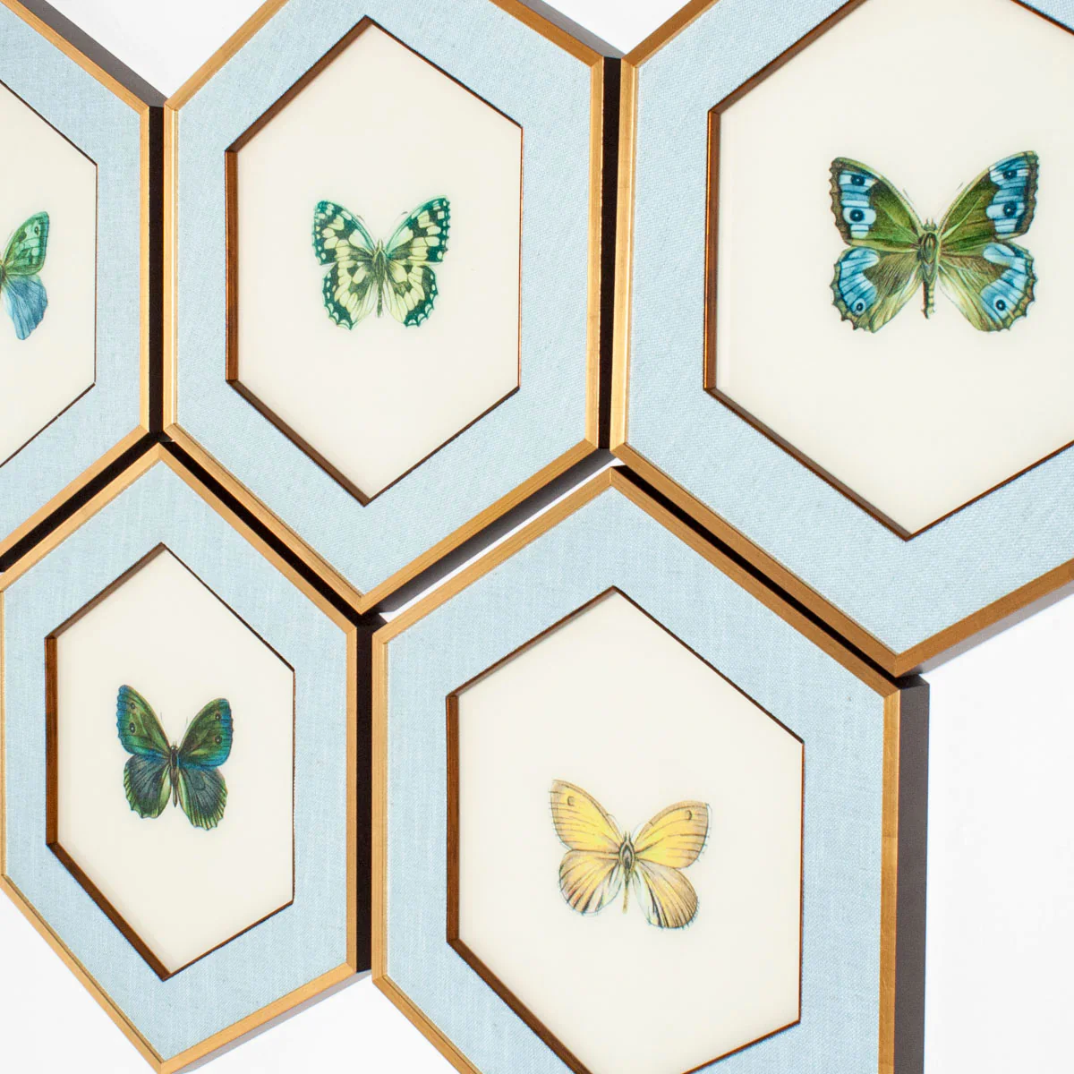 Butterfly Hexagon Art - Set of 6 - Image 2