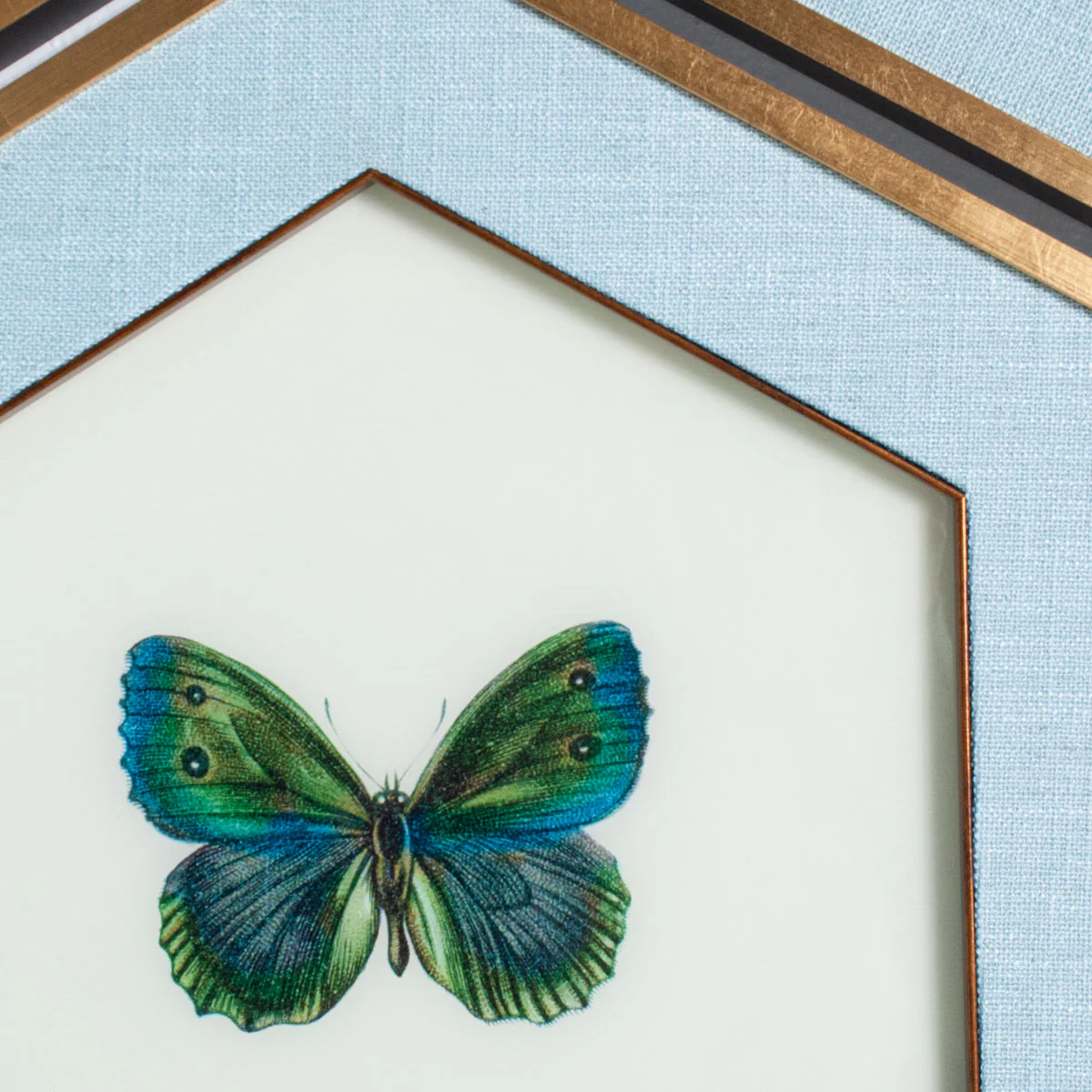 Butterfly Hexagon Art - Set of 6 - Image 3