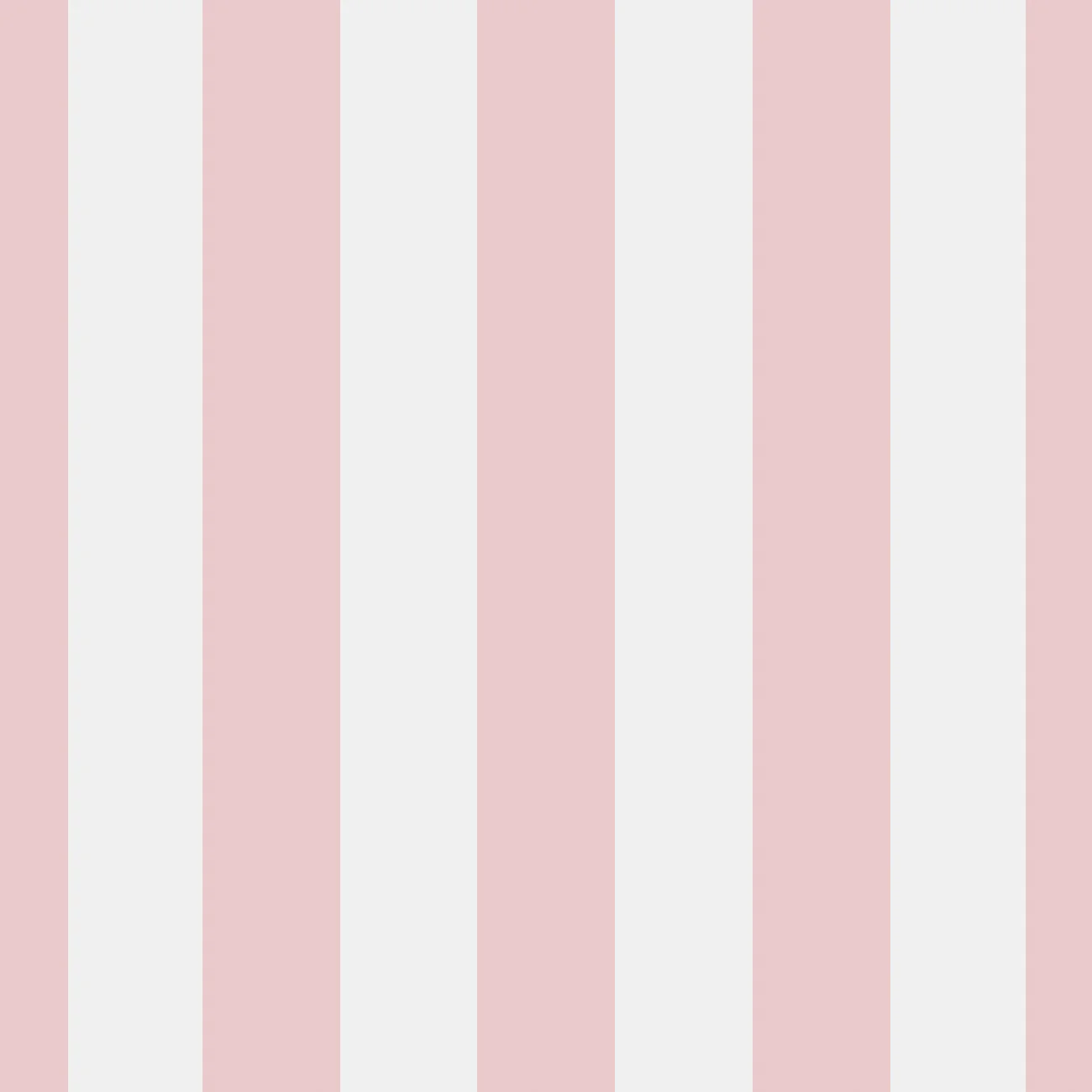 Cabana Stripe Ballet Slipper Fabric