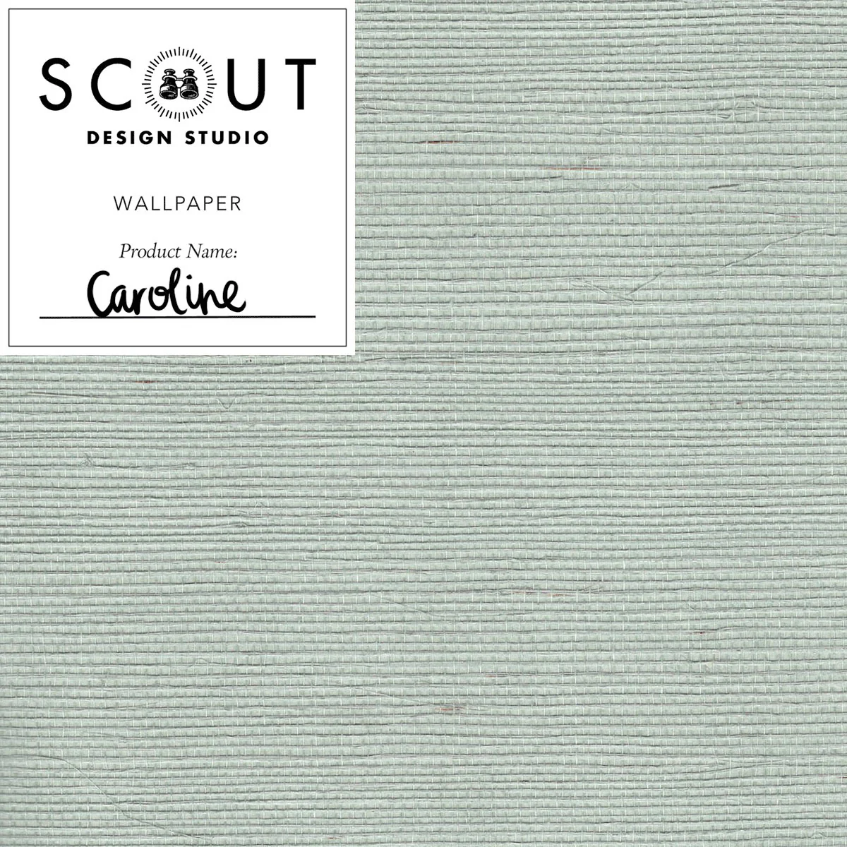 Caroline Sisal Grasscloth Sample