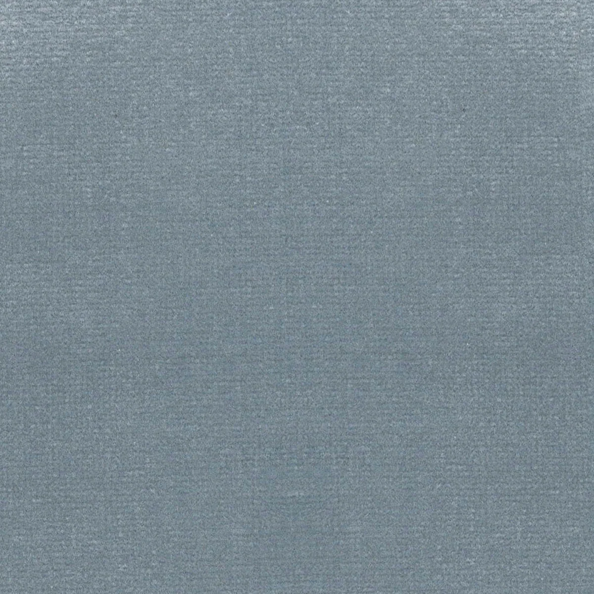 Clario Ice Velvet Fabric