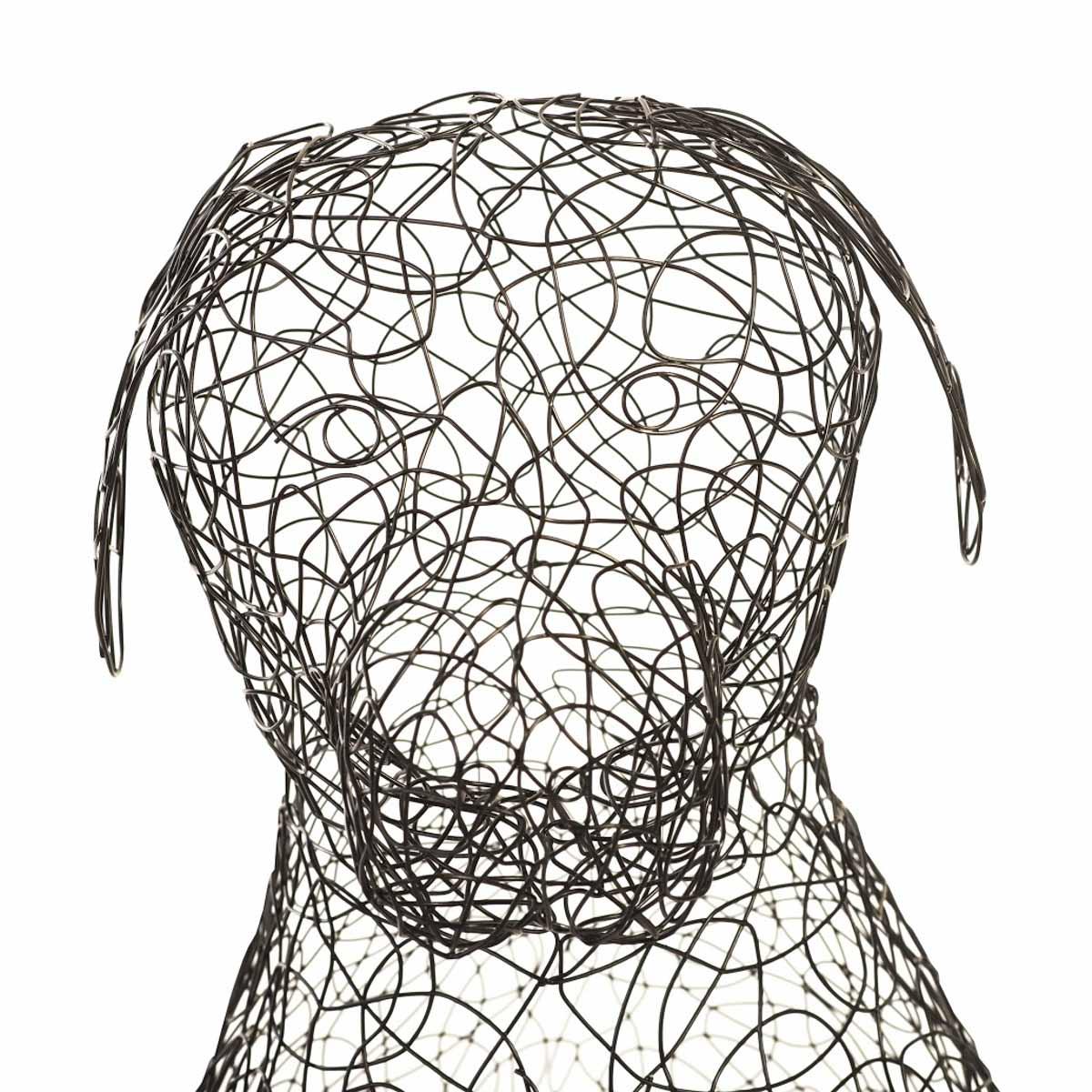 Crazy Wire Retriever - Image 3