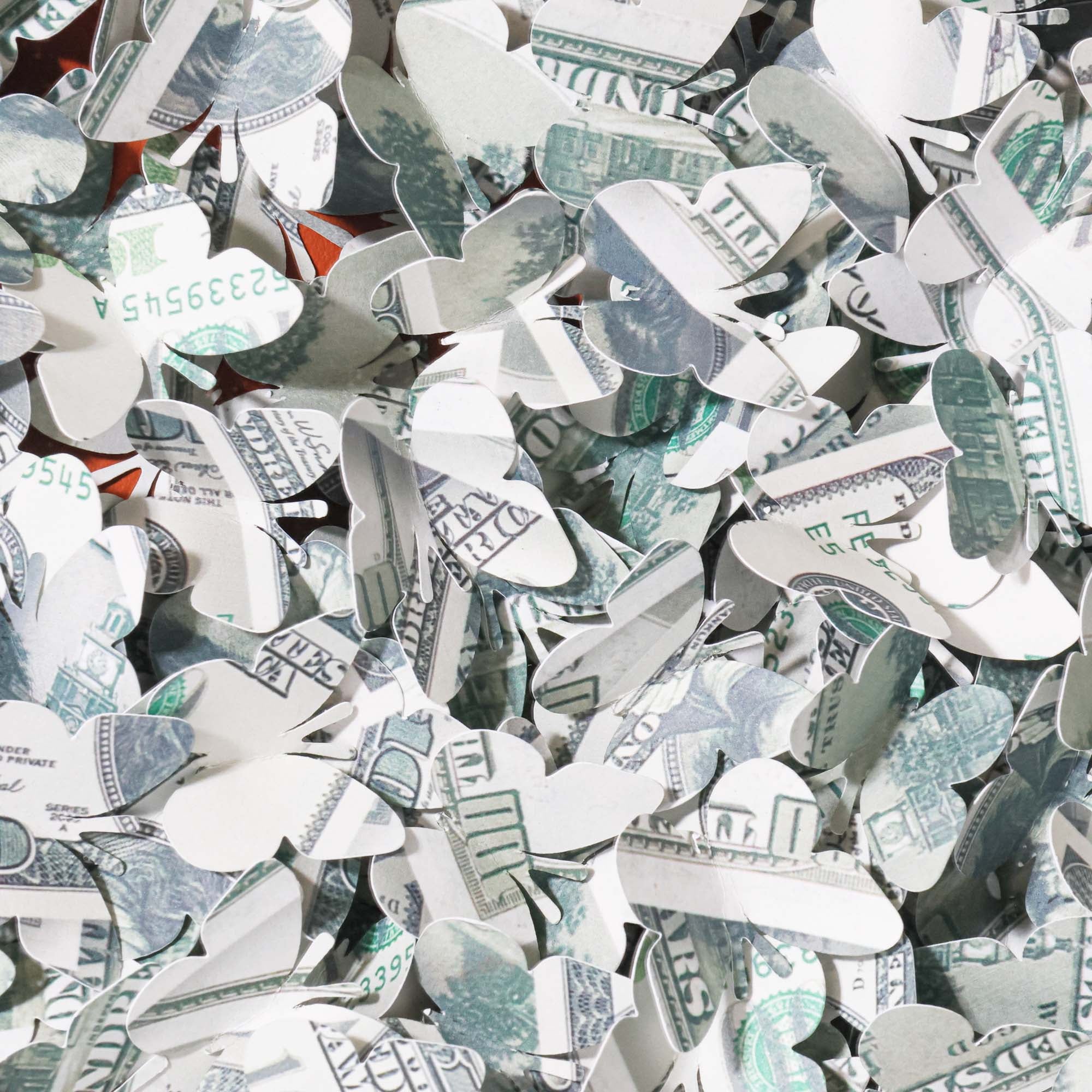 Dollar Bills - Image 4