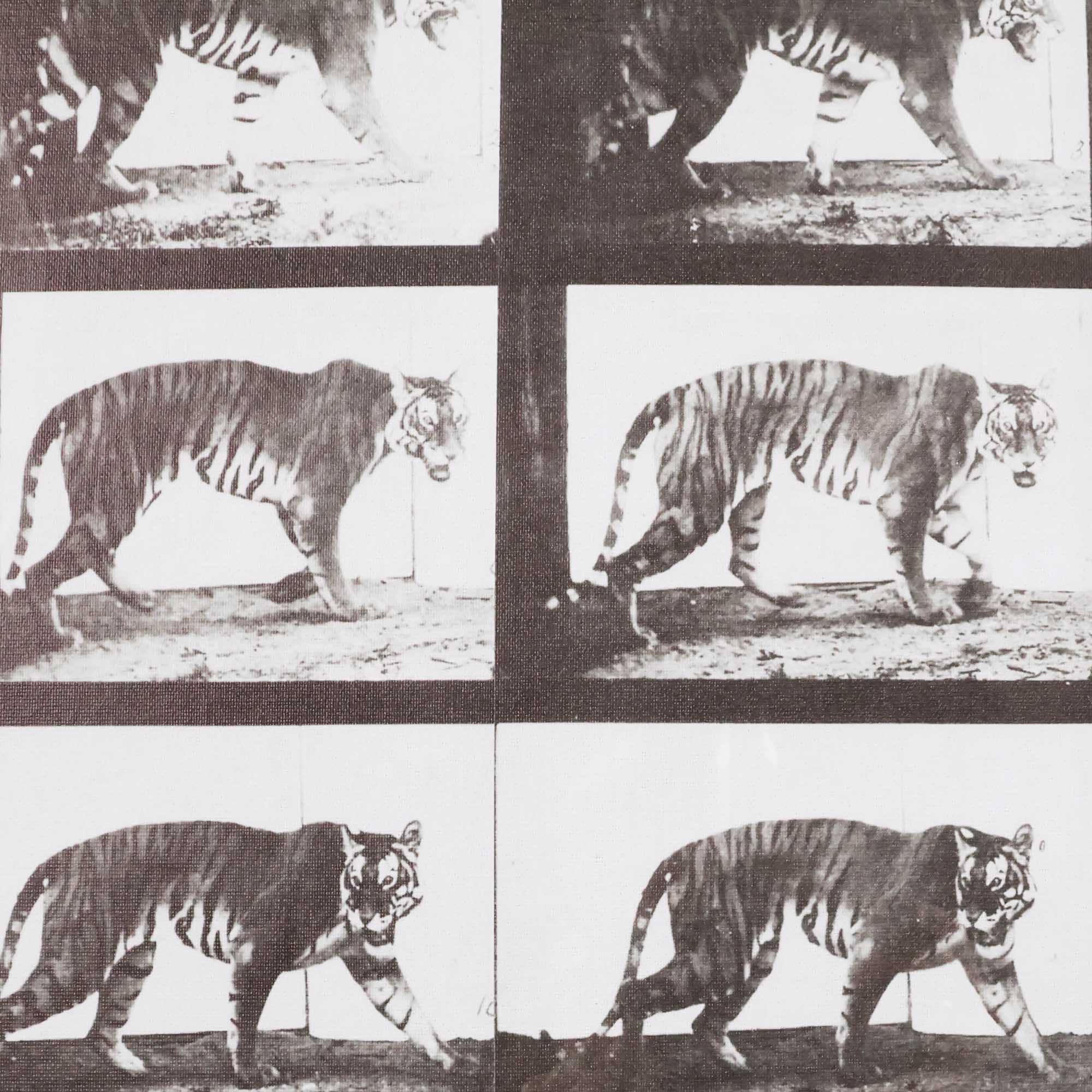 Earn Your Stripes - Image 3