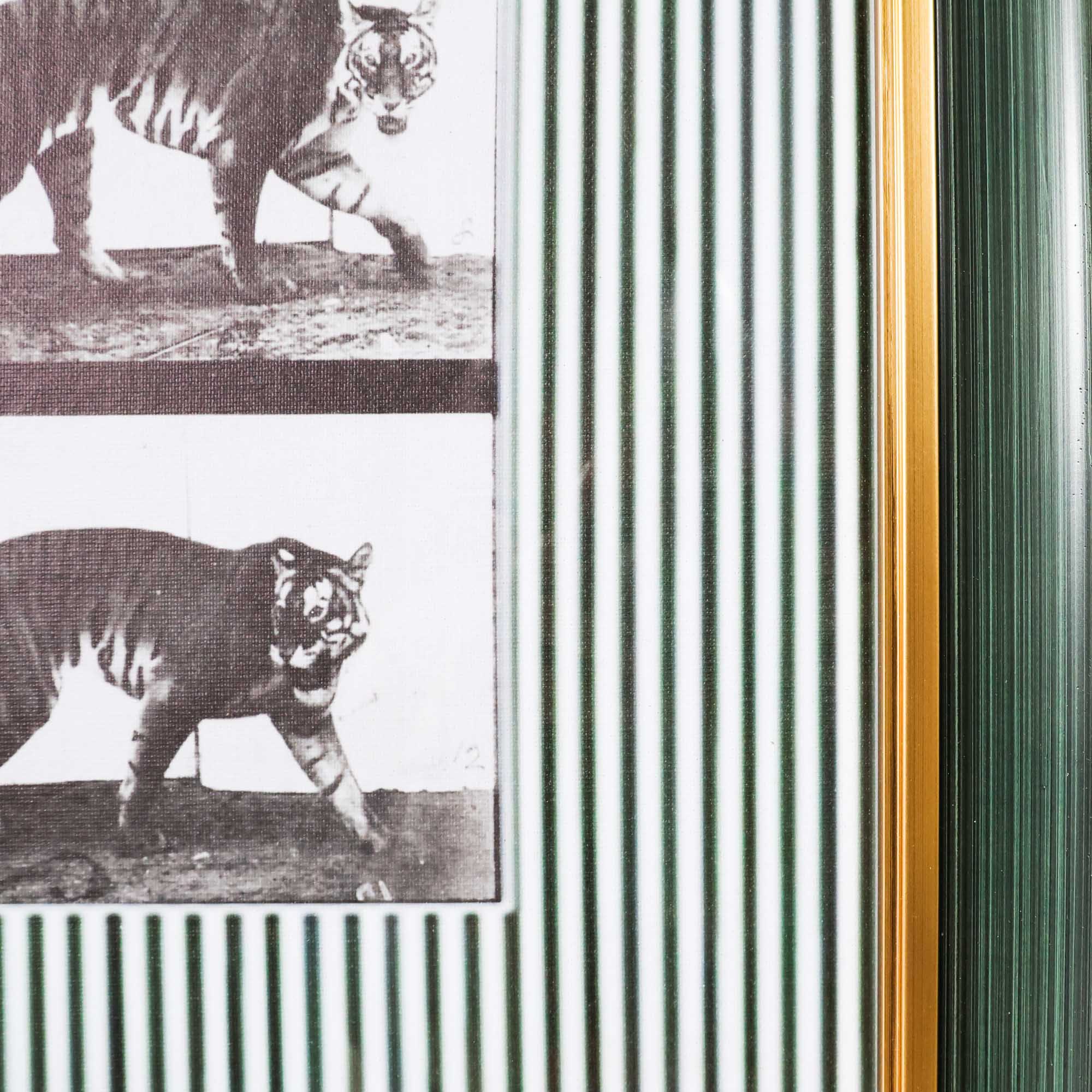 Earn Your Stripes - Image 4