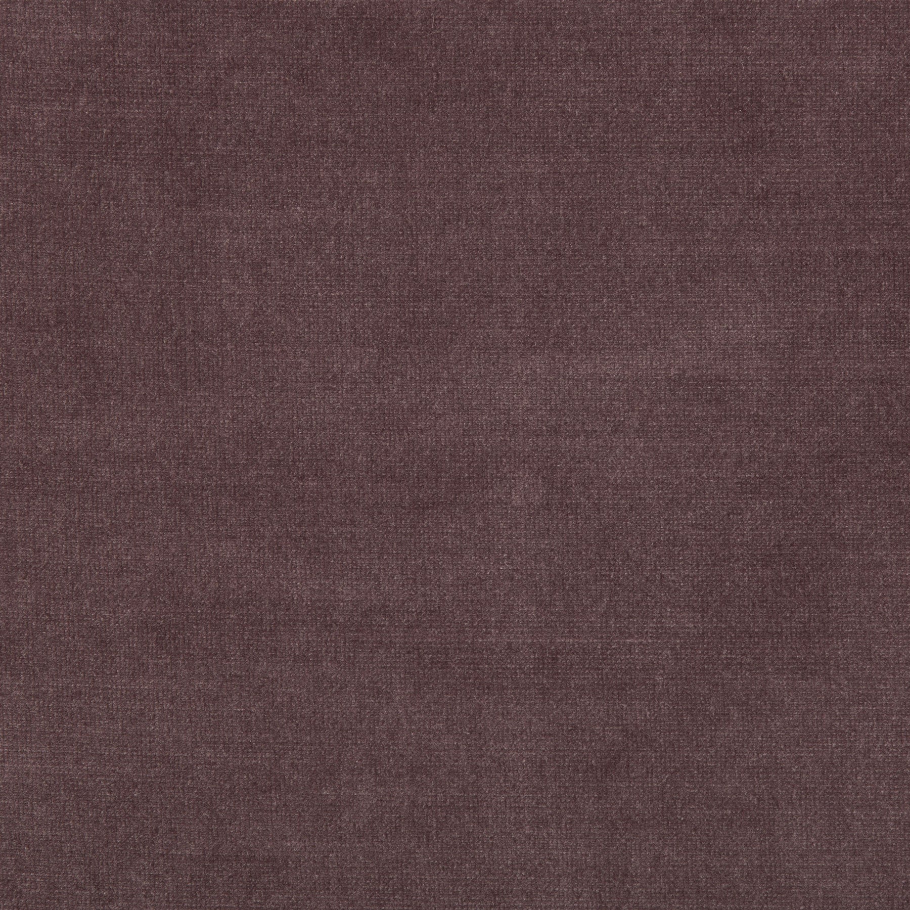 Elie Plum Velvet Fabric