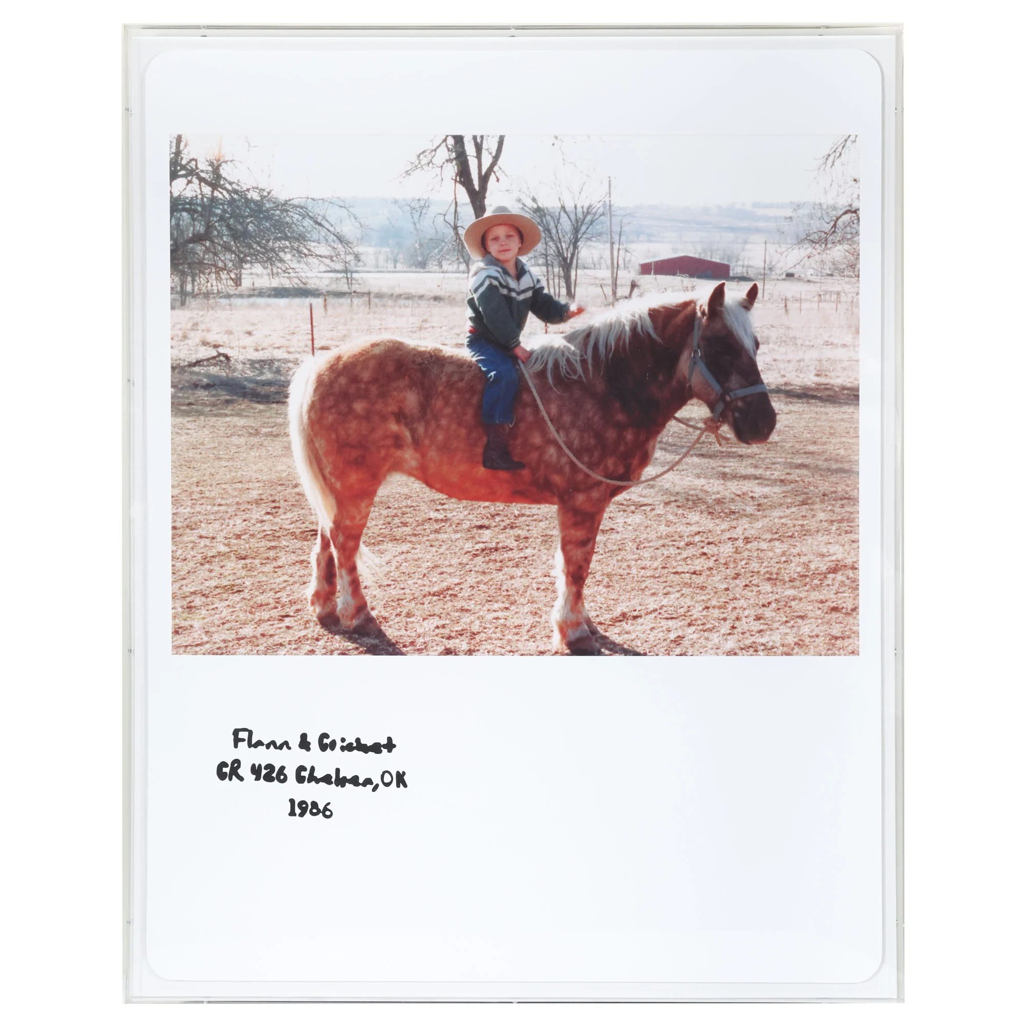 Flannigan & Foal Polaroid