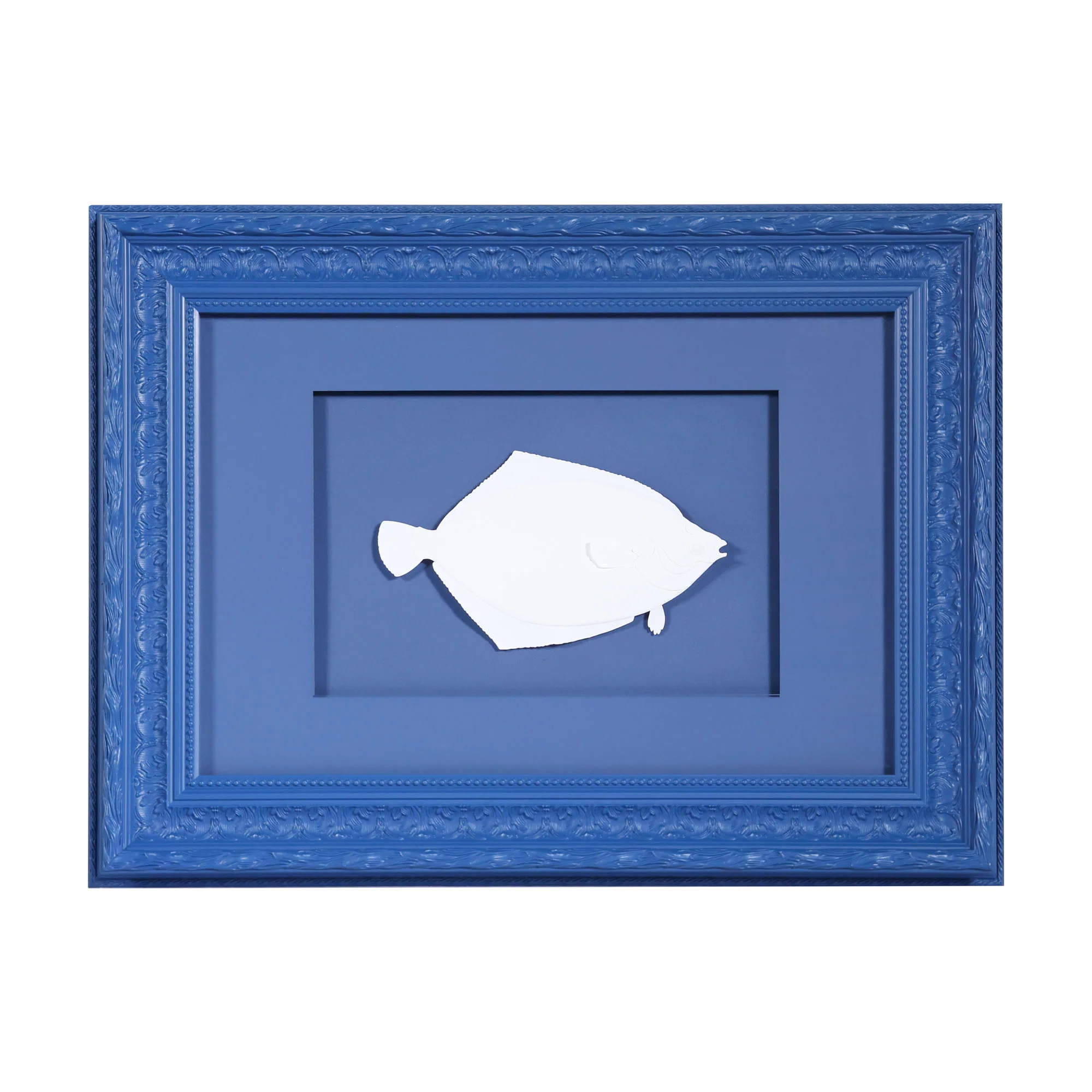 Flounder Swimming