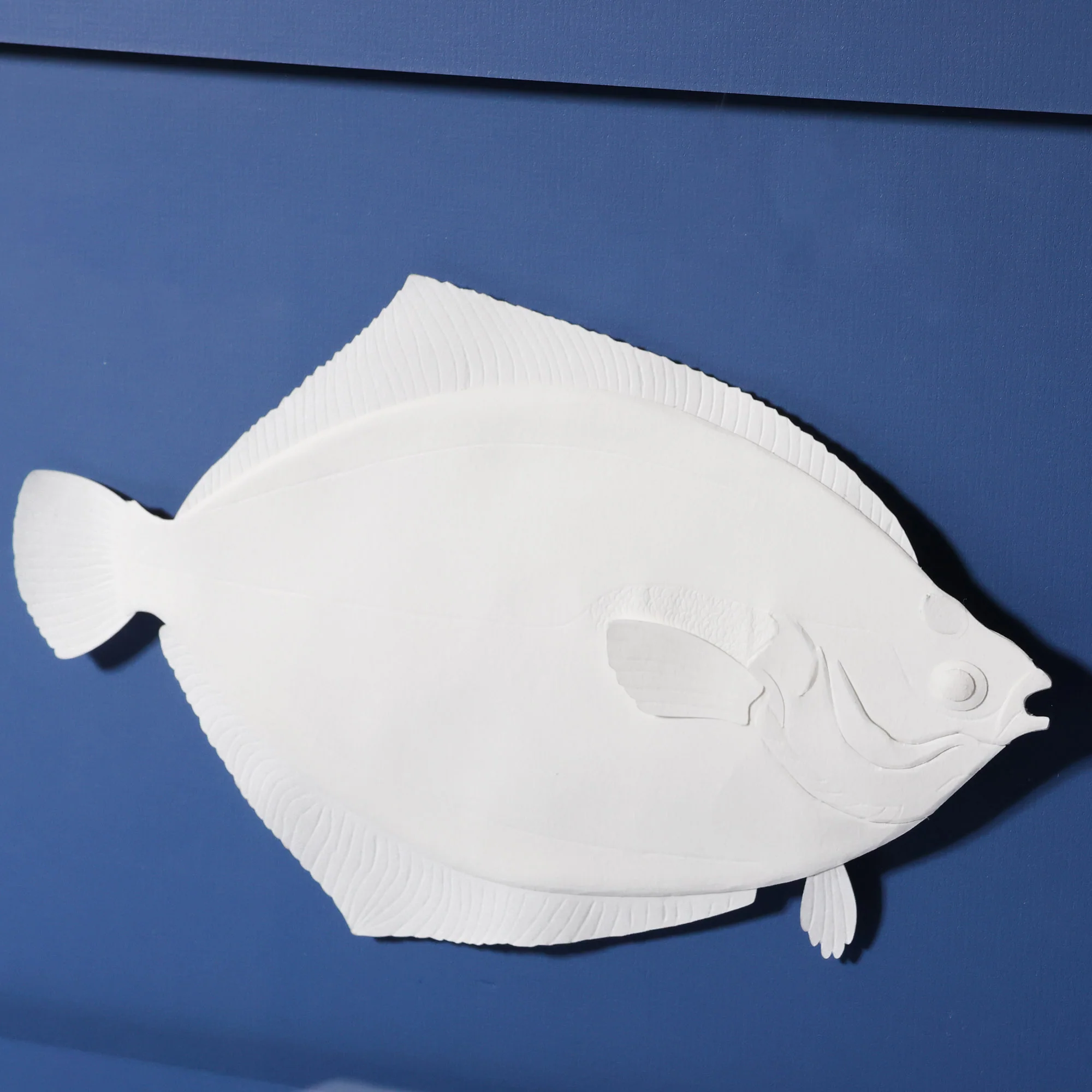 Flounder Swimming - Image 2
