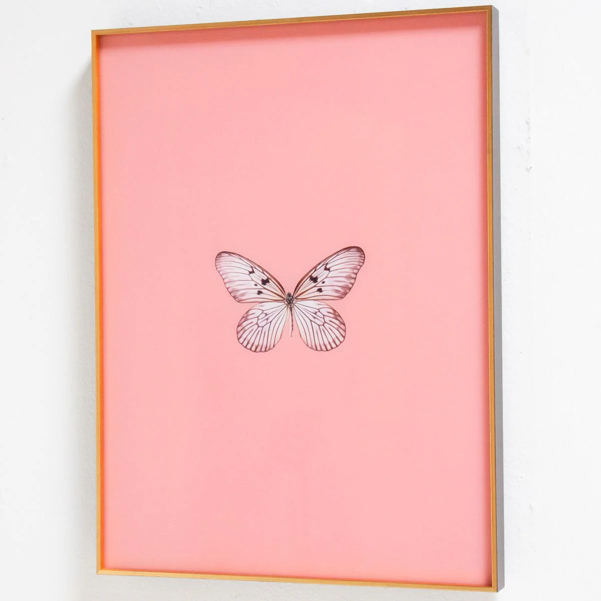 Framed Butterfly Print in Blush - Image 3