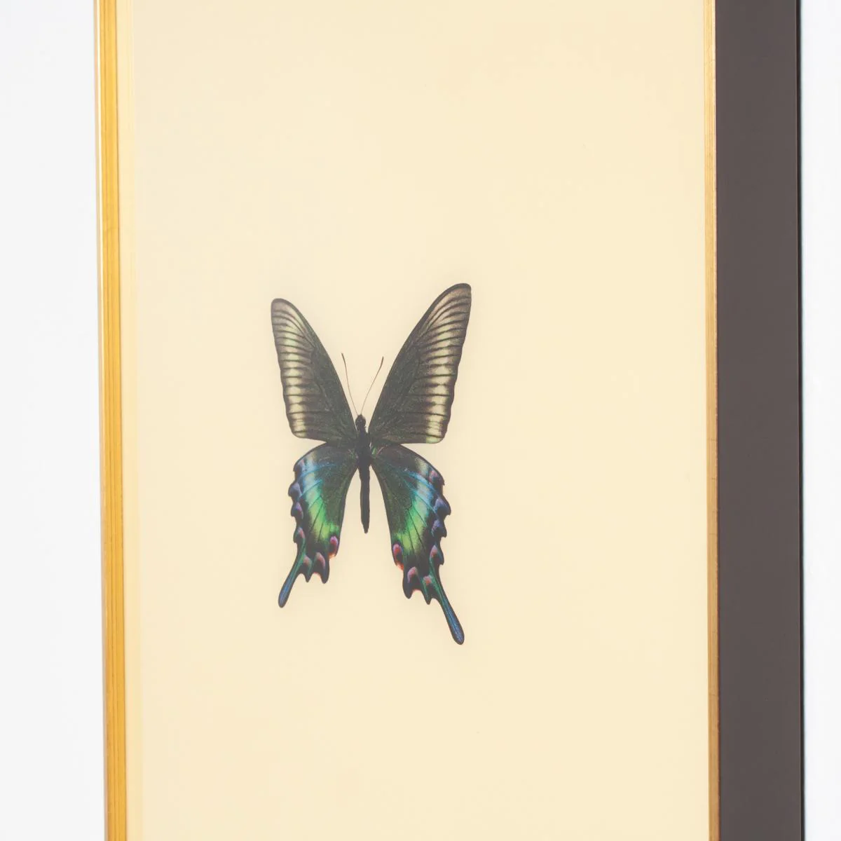Framed Butterfly Print in Butter - Image 3
