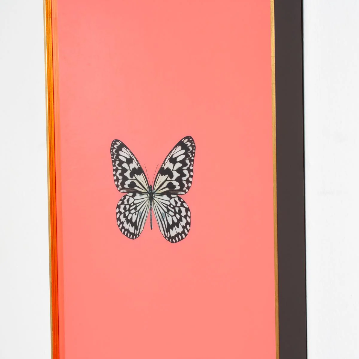 Framed Butterfly Print in Persimmon - Image 3