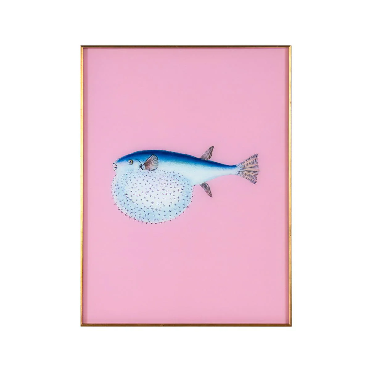 Framed Fish Print in Mermaid Pink