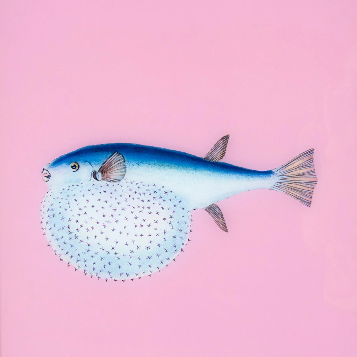 Framed Fish Print in Mermaid Pink - Image 3