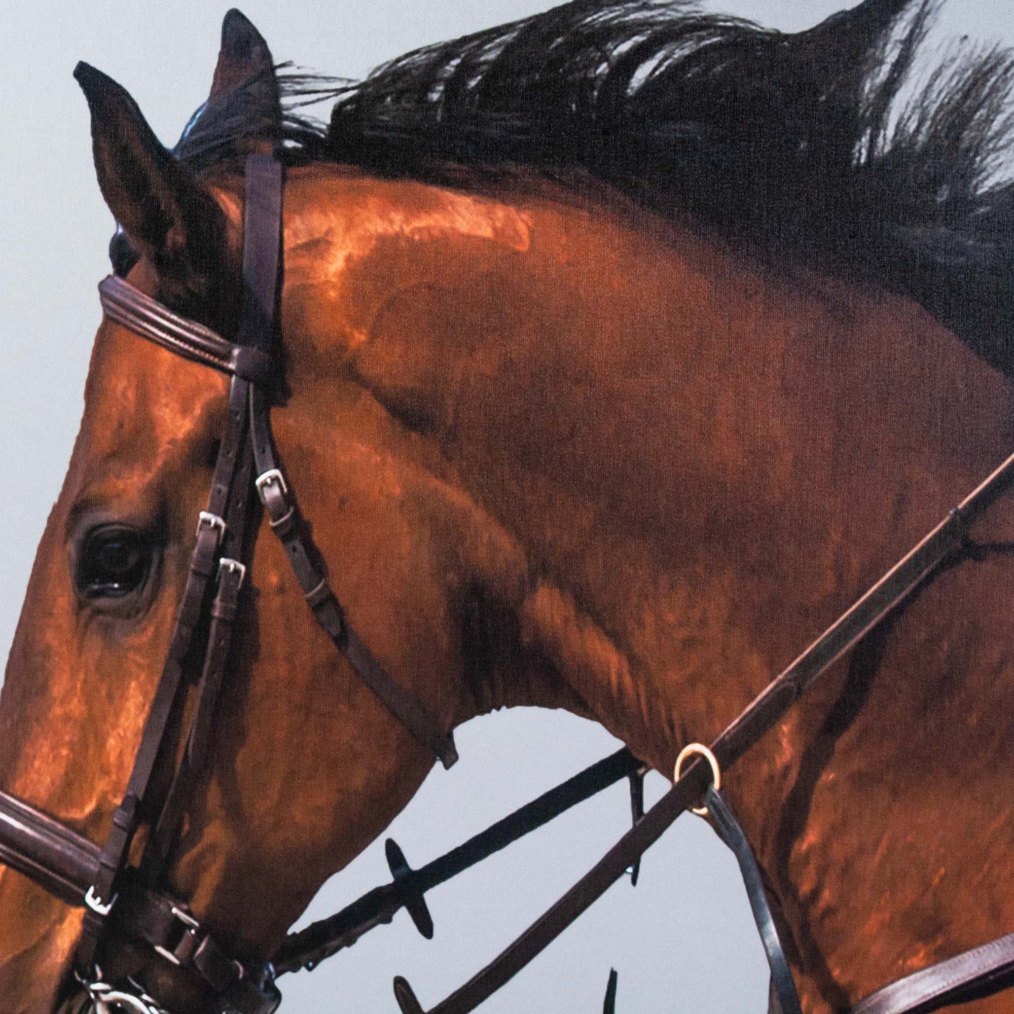 Framed Leaping Equestrian Artwork on Silk Cloth Left - Grey - Image 3
