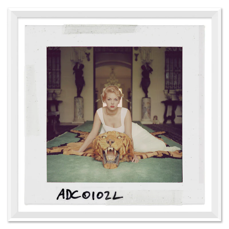 Getty Images ’Beauty and the Beast - Slide’ by Slim Aarons