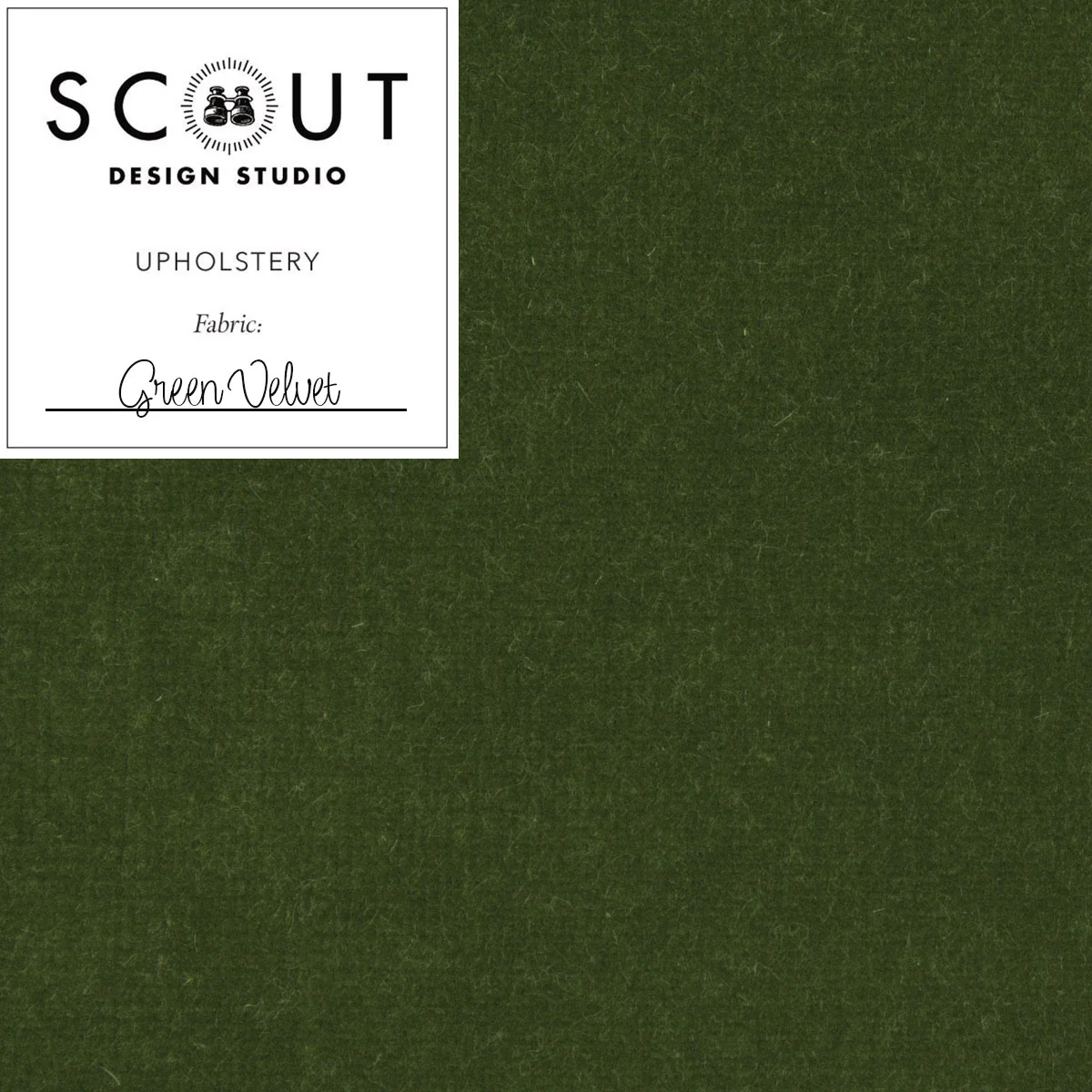 Green Velvet Fabric Sample - Scout Label