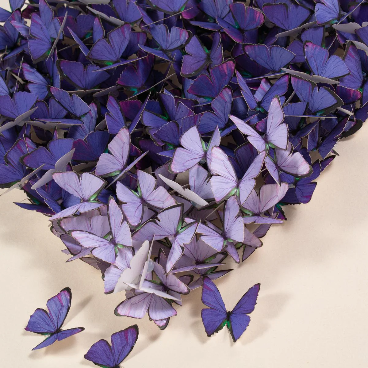 Hearts On Fire - Purple - Image 3