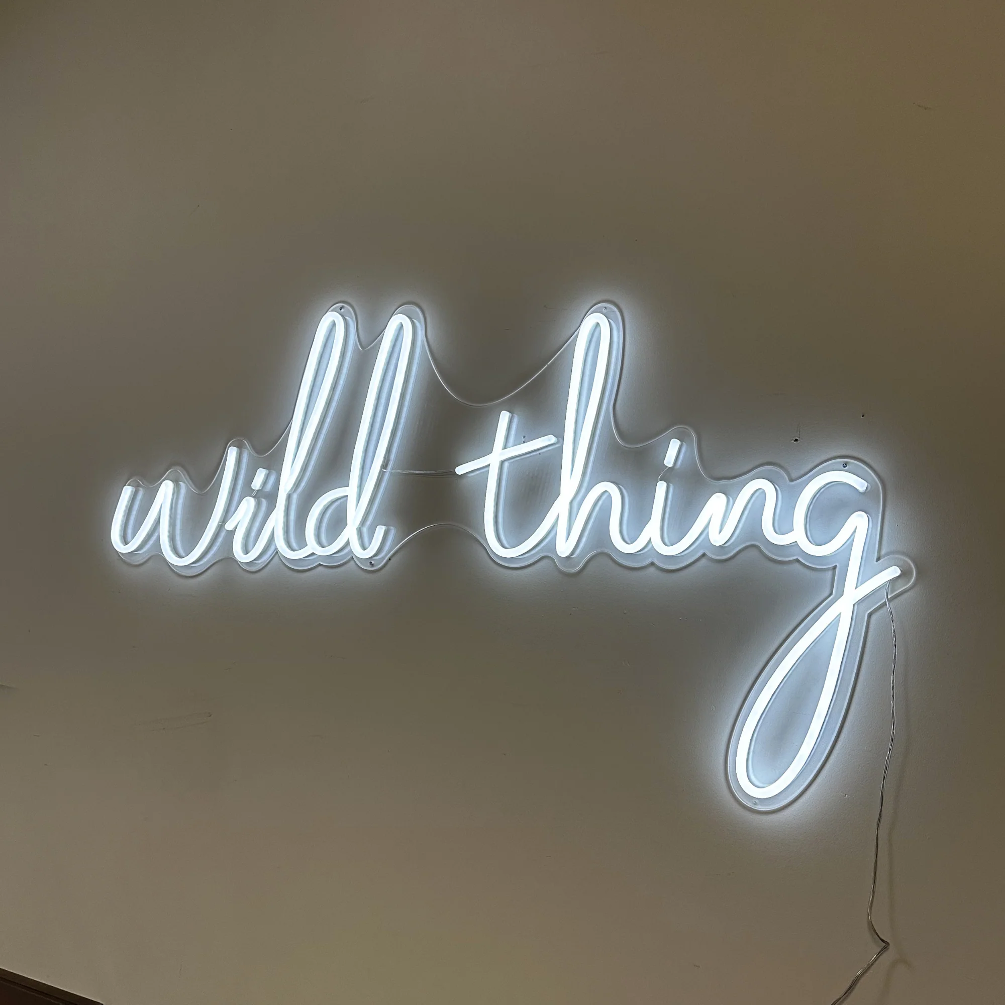 "Wild Thing" LED Wall Sign - Image 3