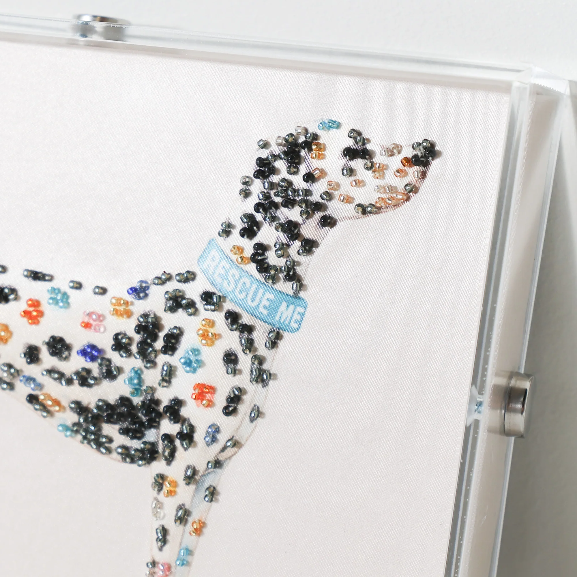 Le Petite Chien - Dalmatian - Image 4