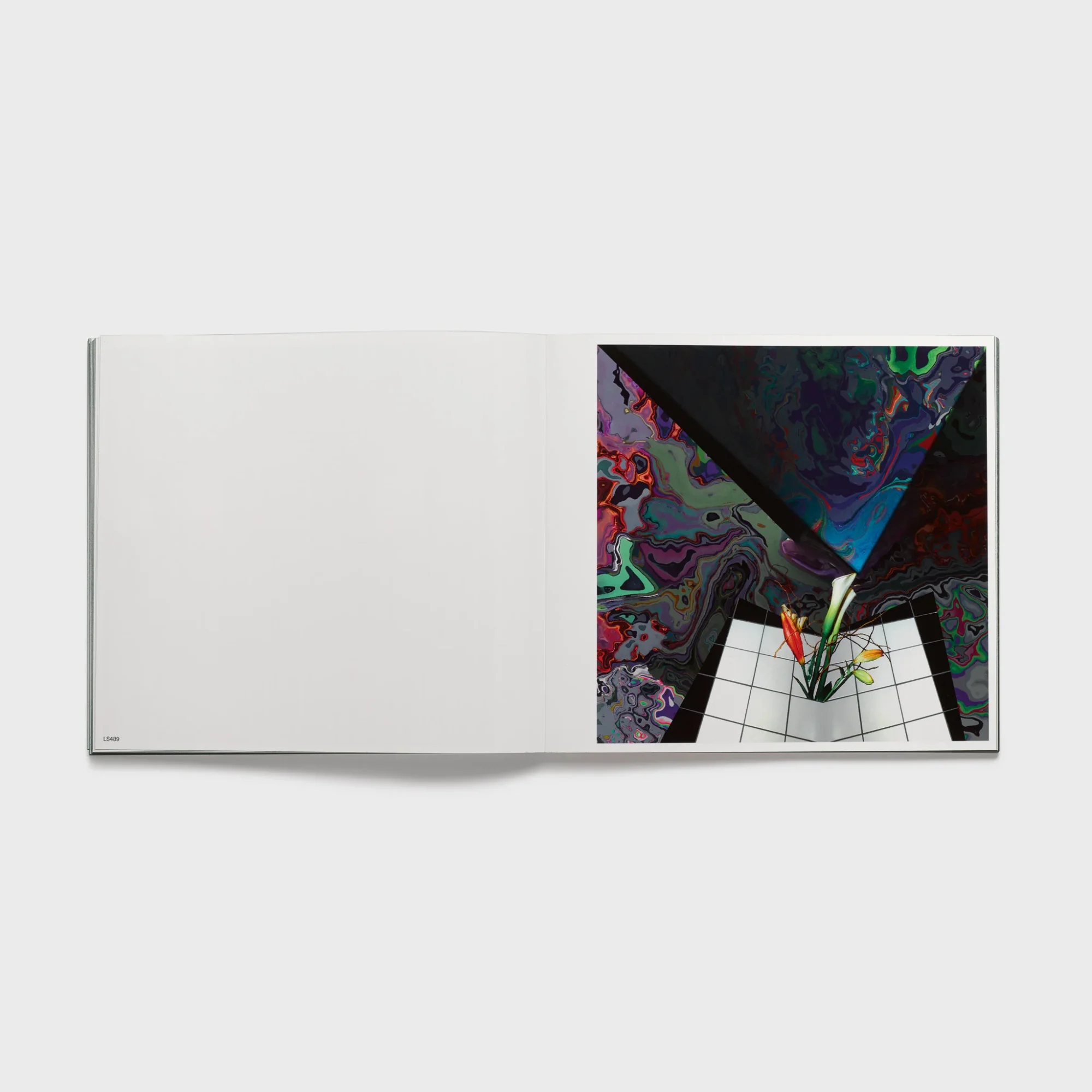 Lucas Samaras: Flowers - Image 5