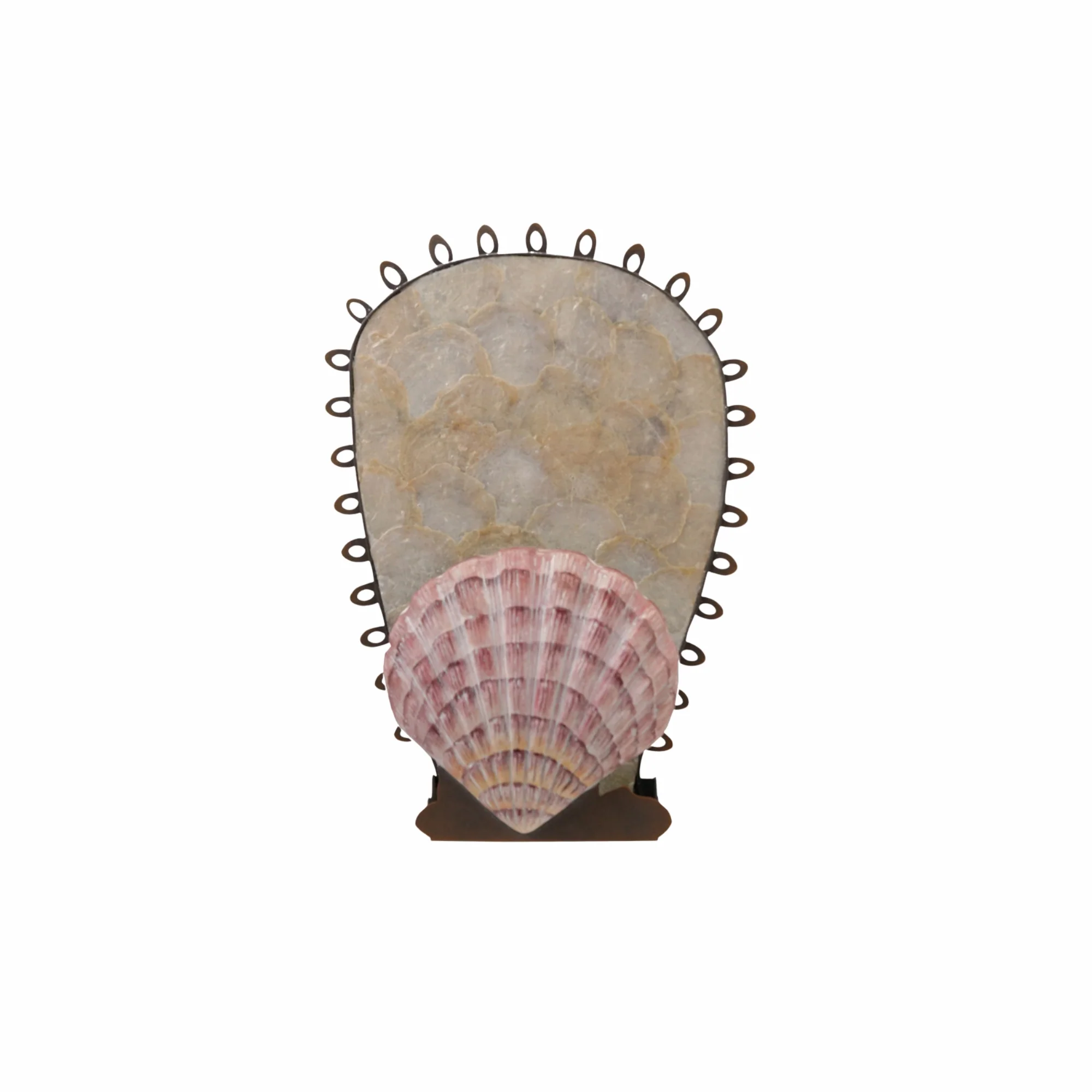 Shell Wall Sconce