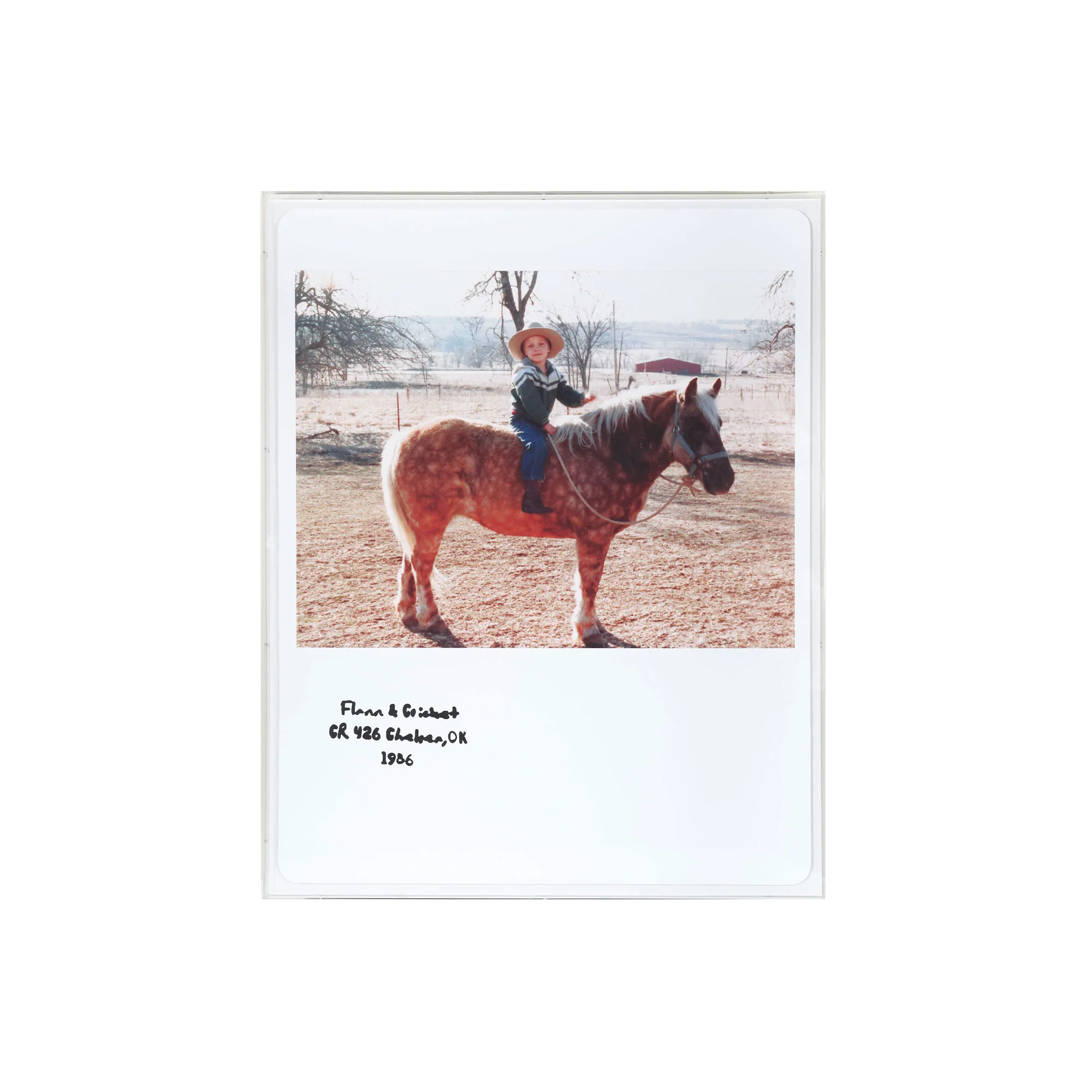 Mini Flannigan & Foal Polaroid