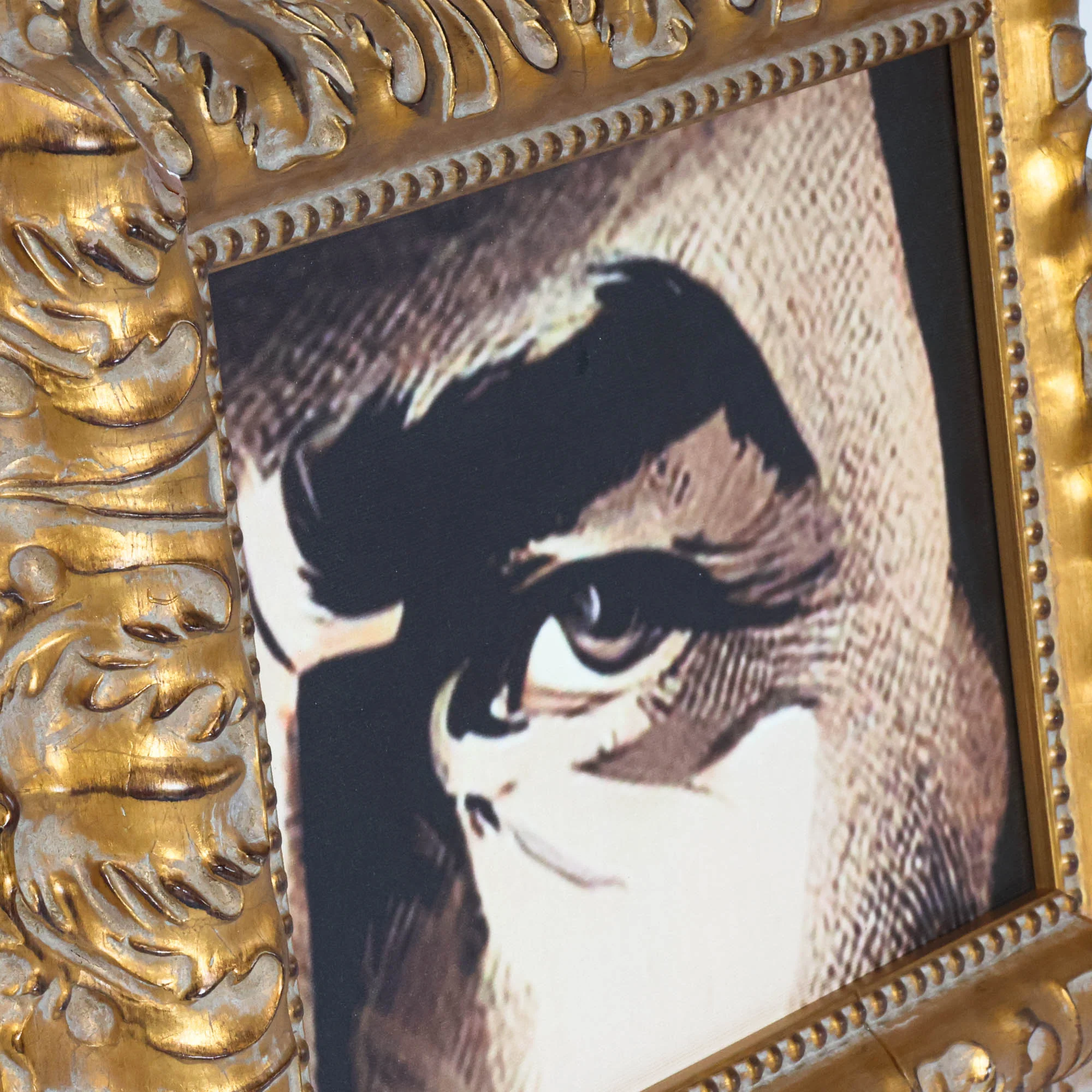 Otis - Multi Frame Portrait - Image 4