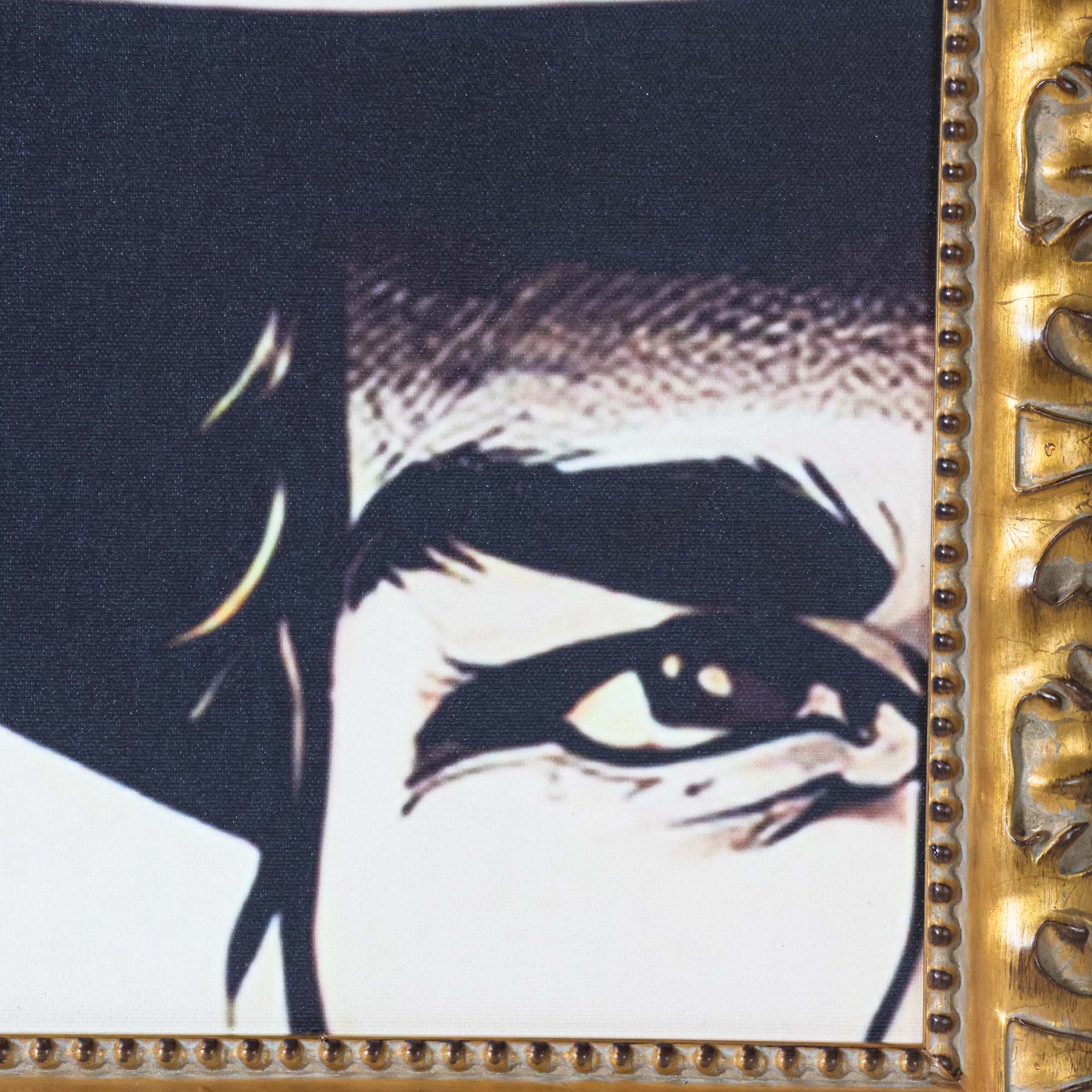 Otis - Multi Frame Portrait - Image 6