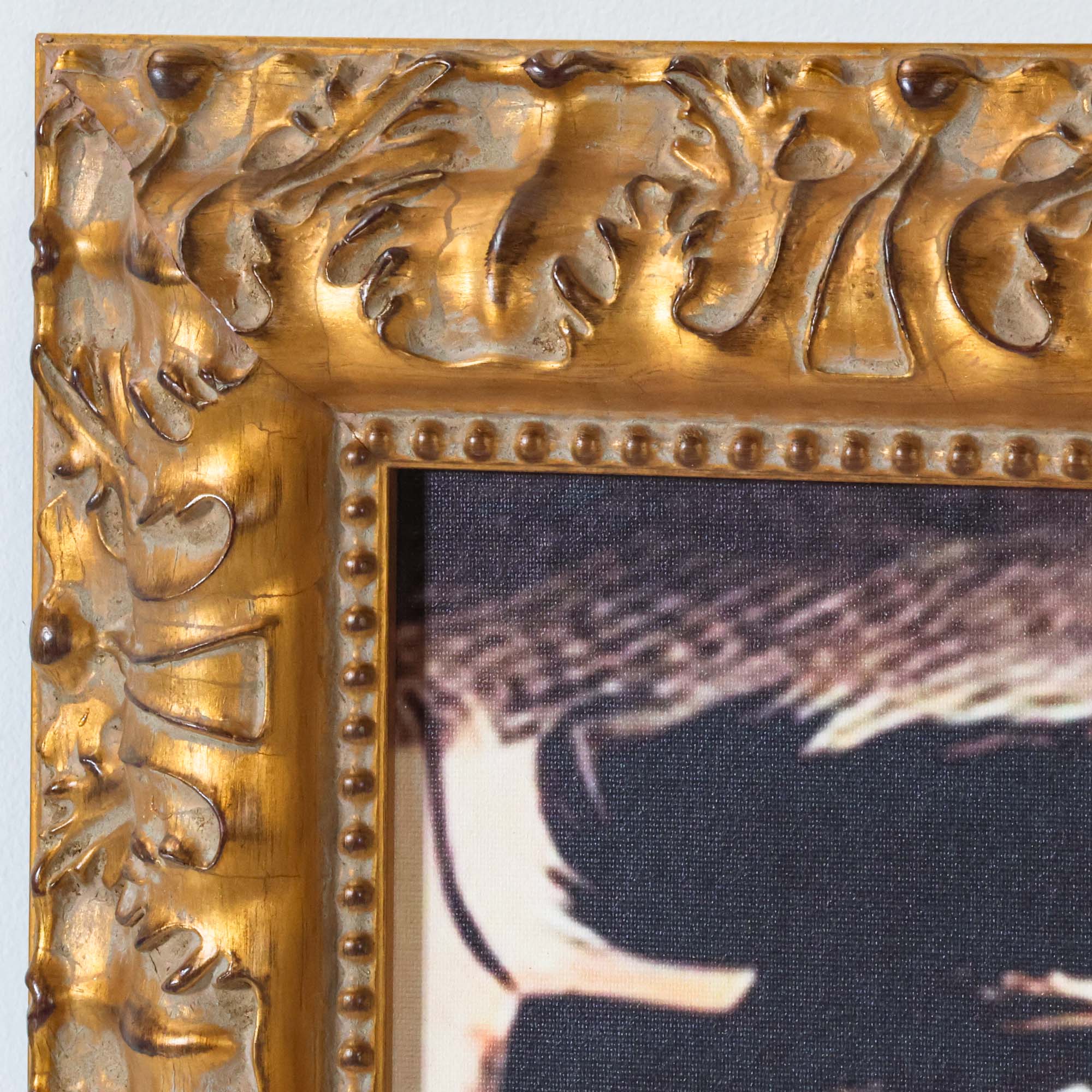 Otis - Multi Frame Portrait - Image 7