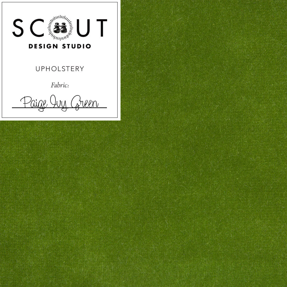 Paige Ivy Green Velvet Fabric Sample