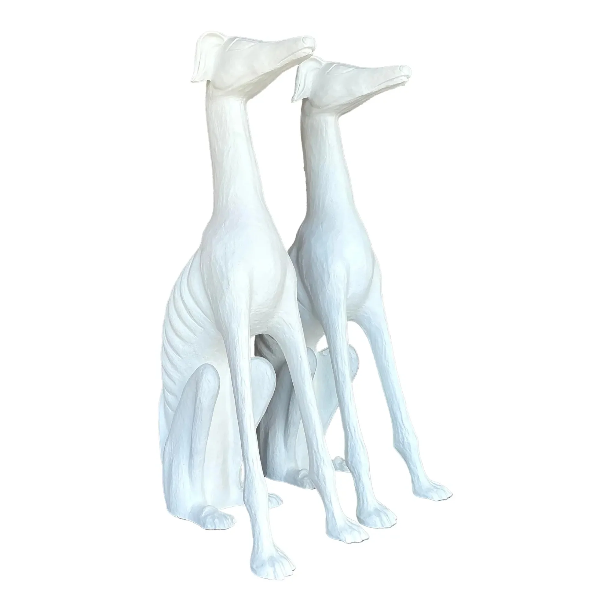 Pair of White Greyhounds
